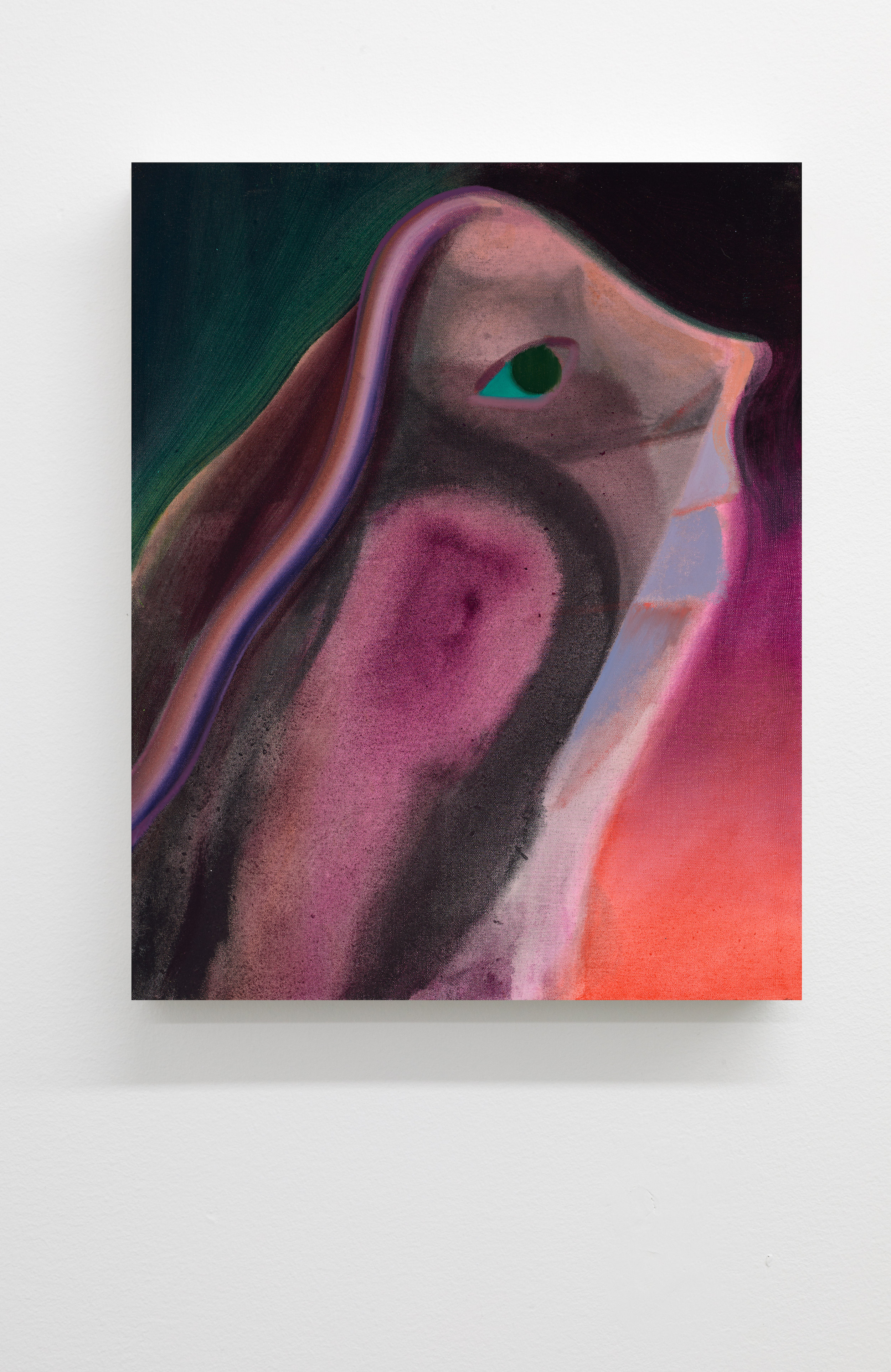  Anders Oinonen,  Untitled , 2019, Oil on canvas, 30 x 24 in 