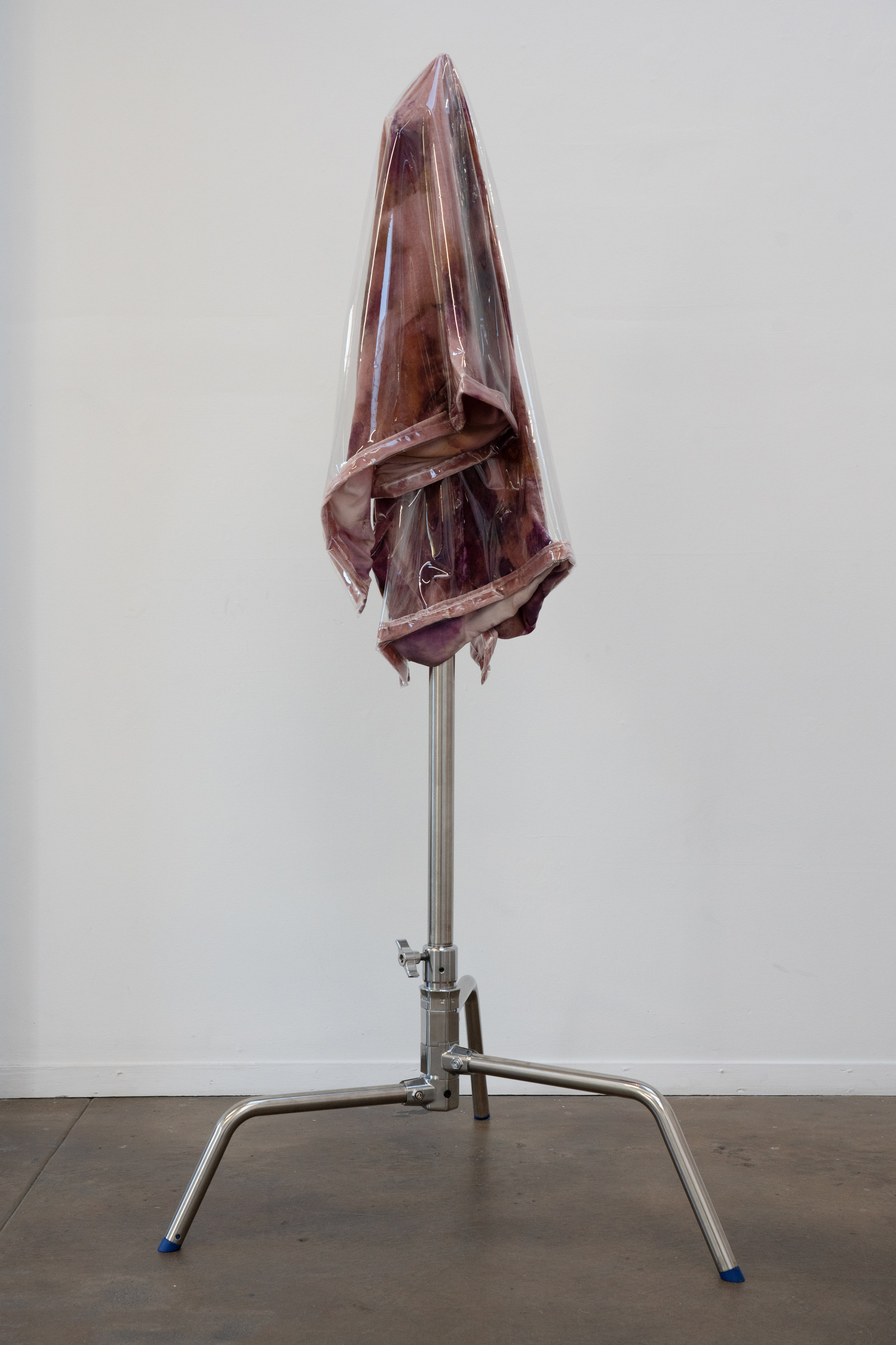  Quay Quinn Wolf,  “I adored that velvet dress”,  2019. Pink silk-velvet stained with African red roses and Shea oil, PVC sheet, chrome C-stand. 