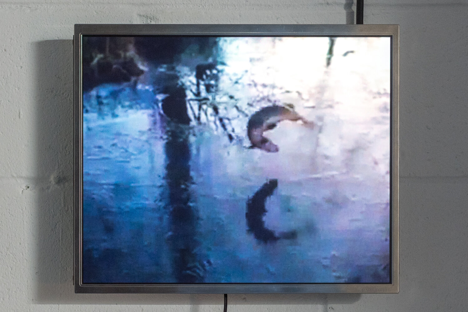  Brandon Poole, ‘ fish jumping on ice ’, 2018. Found video and music, screens, 27s infinite loop, 14x11.5in 