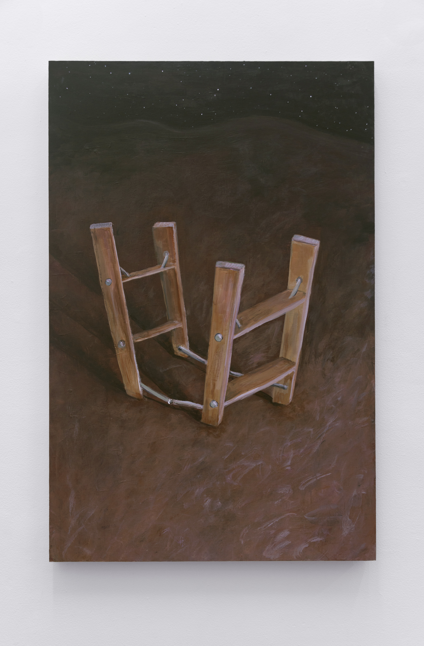  Ladder,  Acrylic and flashe on cradled birch panel 48 x 31.5 in, 2019 