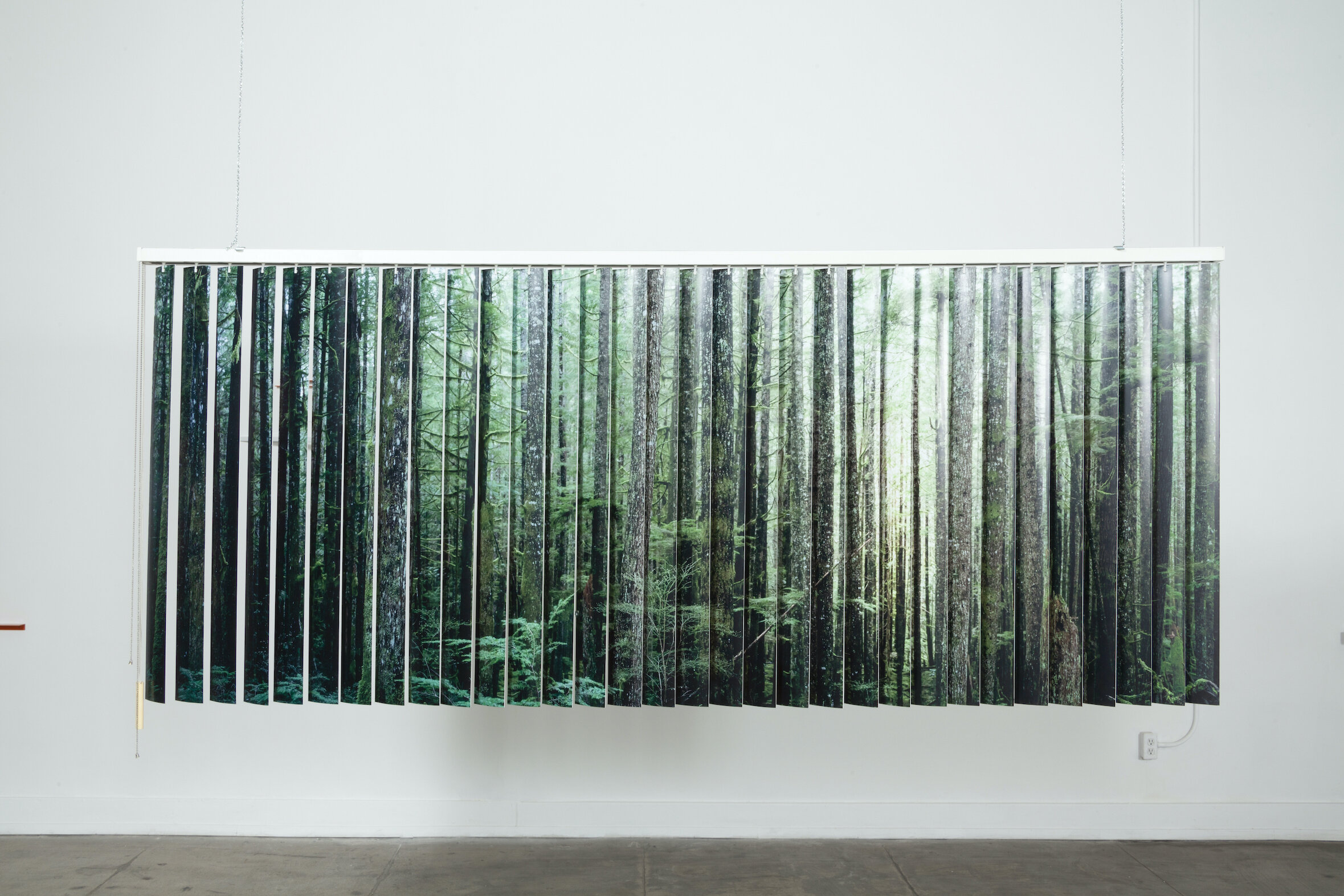   A wide and view of a dense forest in British Columbia/ Carne mista assortita,  2019, Salvaged vertical blinds, vinyl, stock photographs, 101 x 42 x 3 1⁄2 inches 