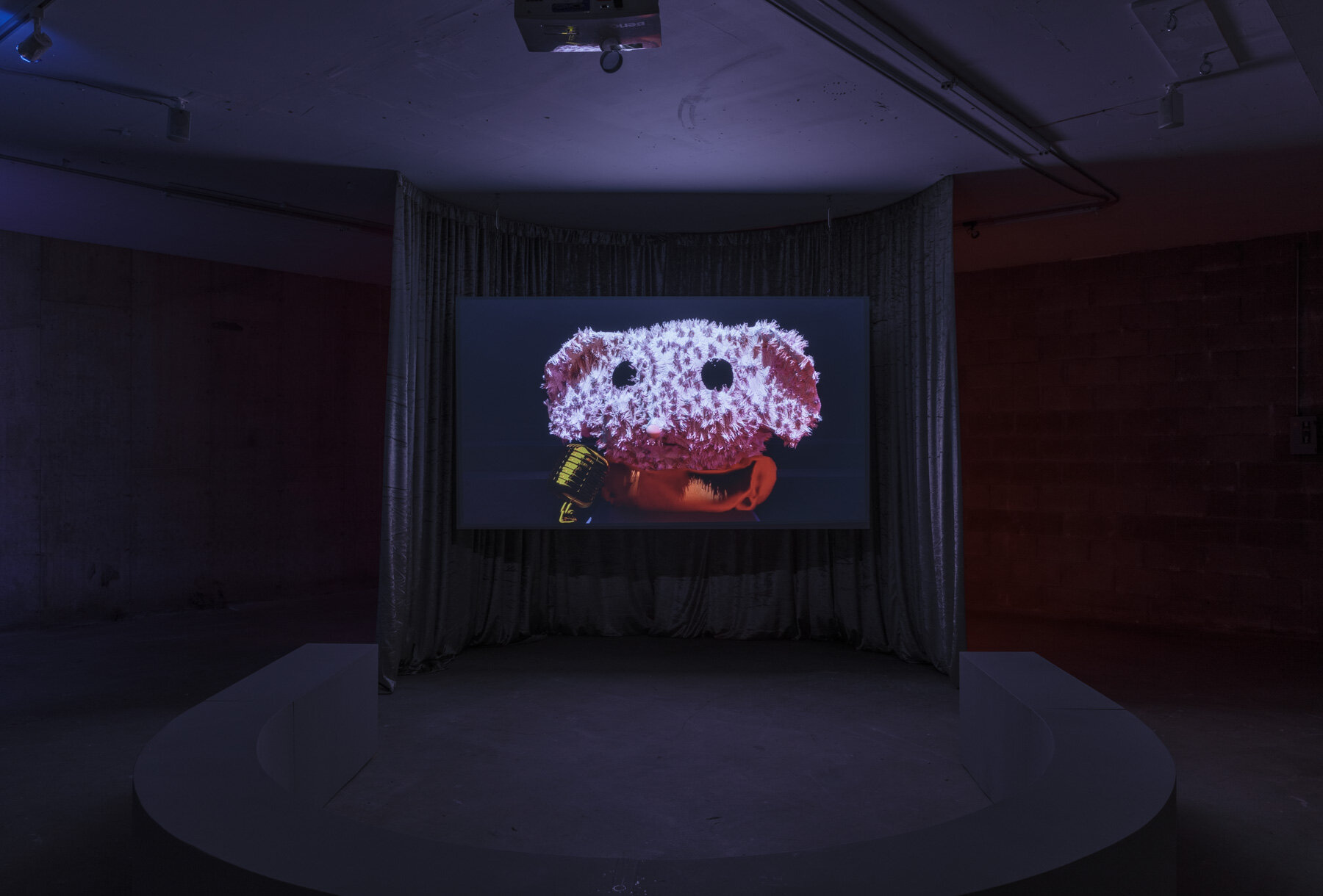  Bea Orlandi,  CHORALE (for convergence) , 2019 Velvet curtain, bench, HD video projection, 1 min, loop   	  