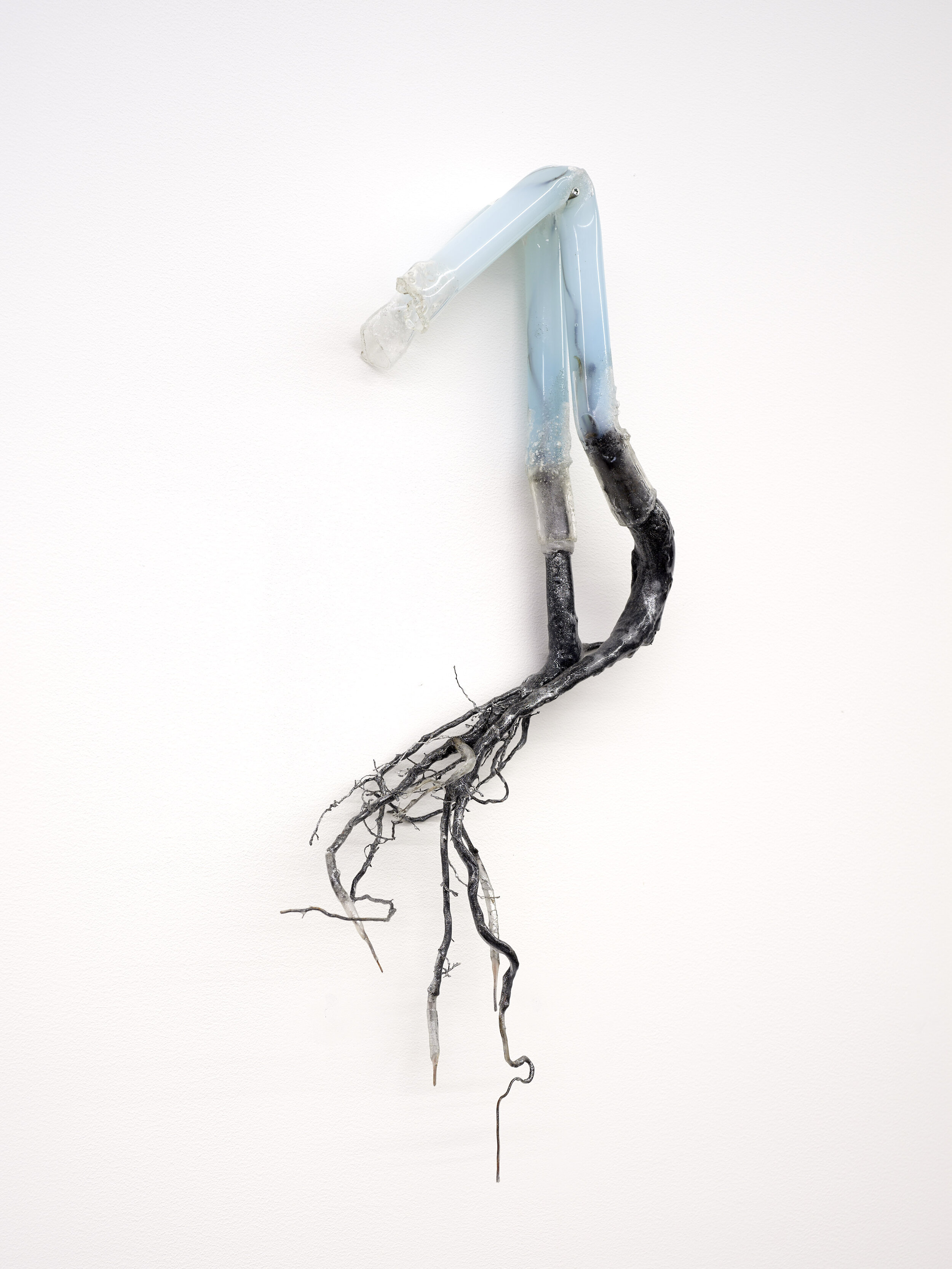  Adriano Amaral,  Untitled , 2019, Acrylic tubes, roots, prosthetic rubber, electric cables, aluminum powder, 63x33  