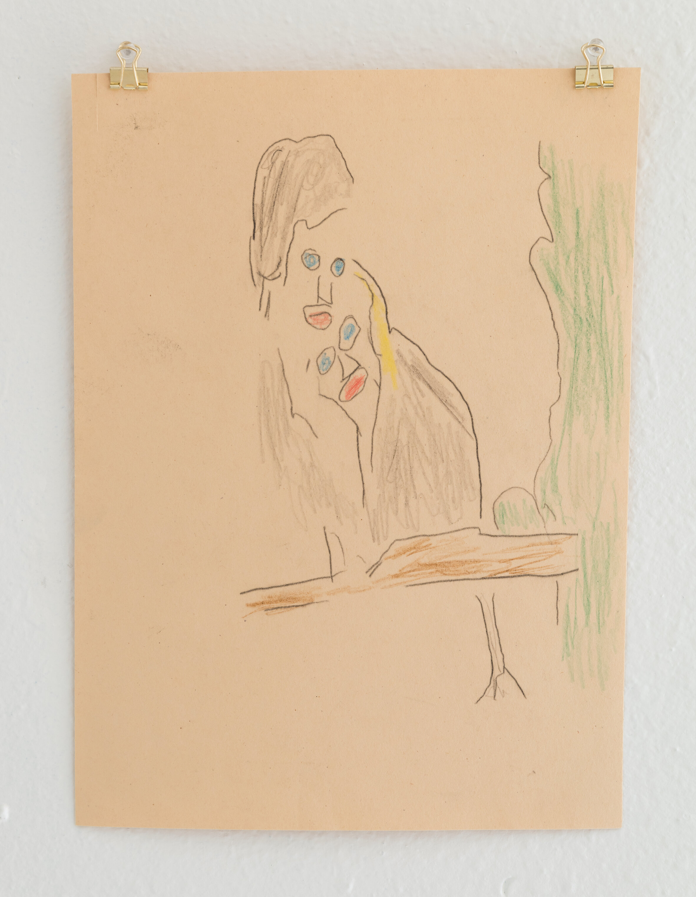  Shannon Anderson​ , Untitled,  2​019, colored pencil on paper 12 x 9 inches  