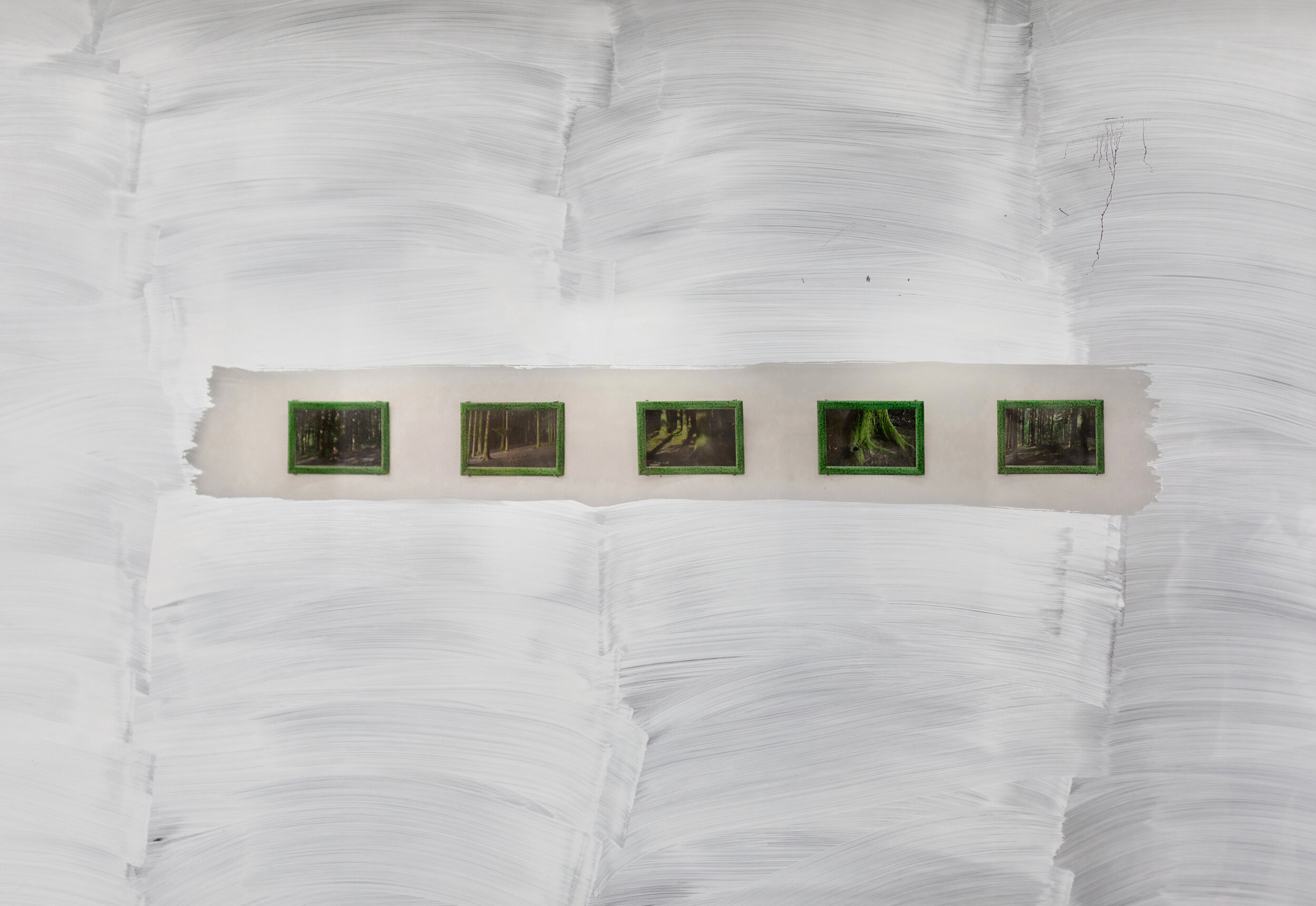  Mona Varichon,  The woods near Treignac 1-5 , silver print (Photop’s frames by Jacques Henry Varichon), 11x16cm each, 2018-2020  