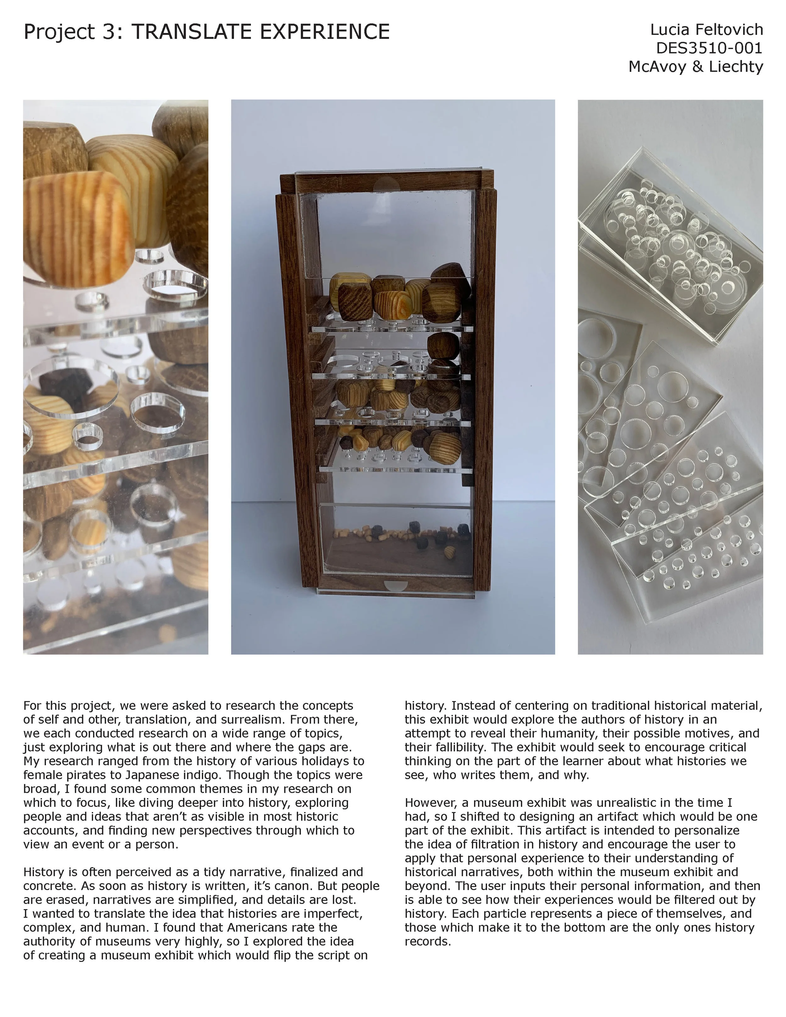 2018_F_3510_Feltovich.L_TranslateExperience_ProjectSheet.jpg