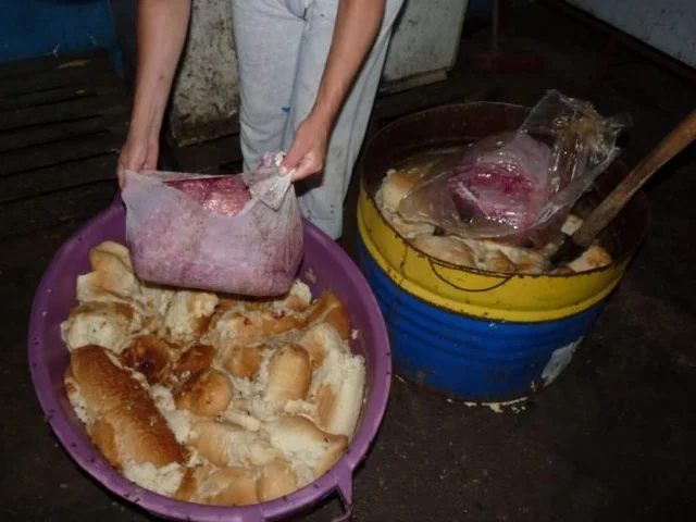 Rénovation de la cuisine au refuge de Becej