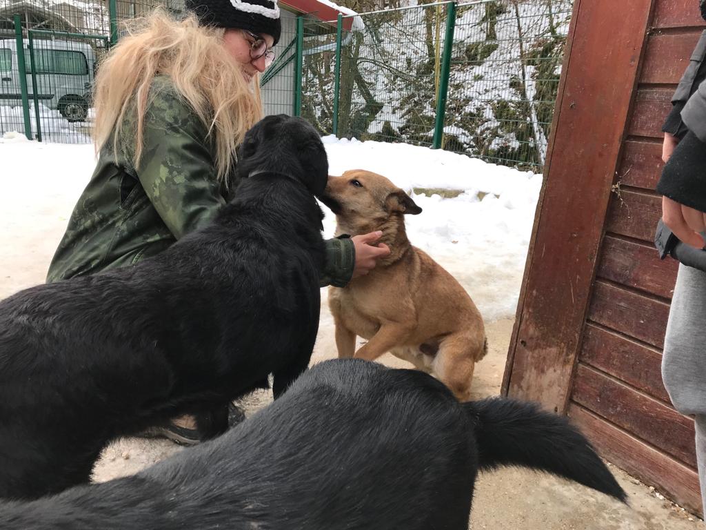 20.1.19 Jumper fait connaissance avec sa famille d'accueil 