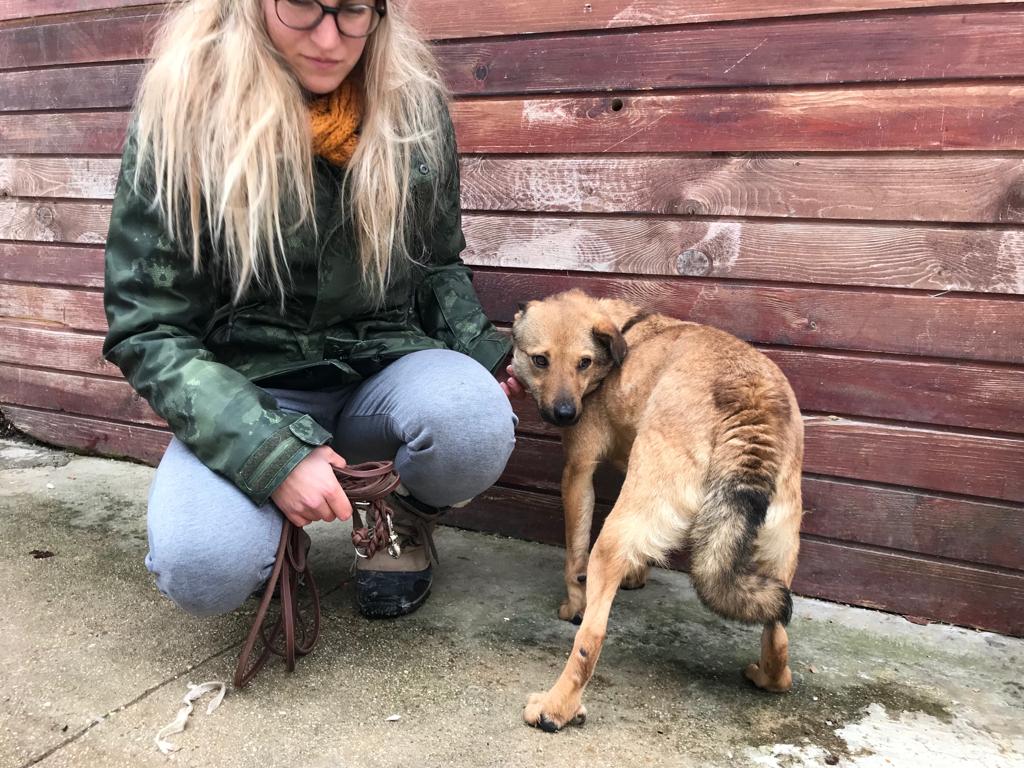 20.1.19 Jumper fait connaissance avec sa famille d'accueil 