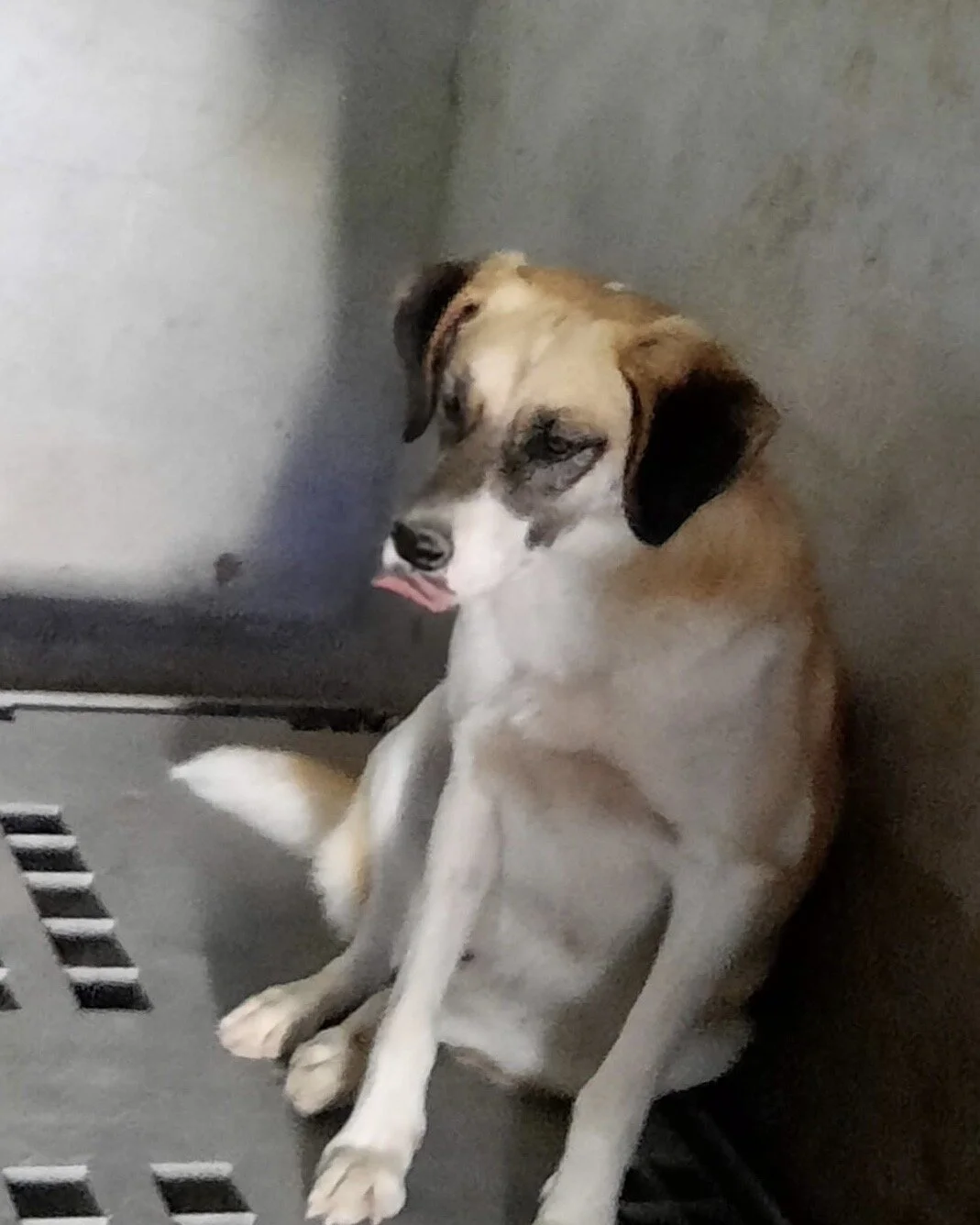 88e0a19b-3376-4967-a81f-cc33a34868d7 2.JPG