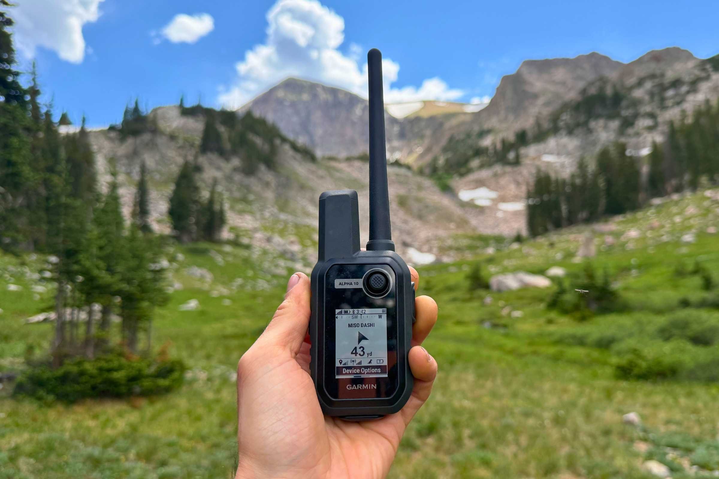 Garmin Alpha 10 handheld showing that the dog is 43 yards away