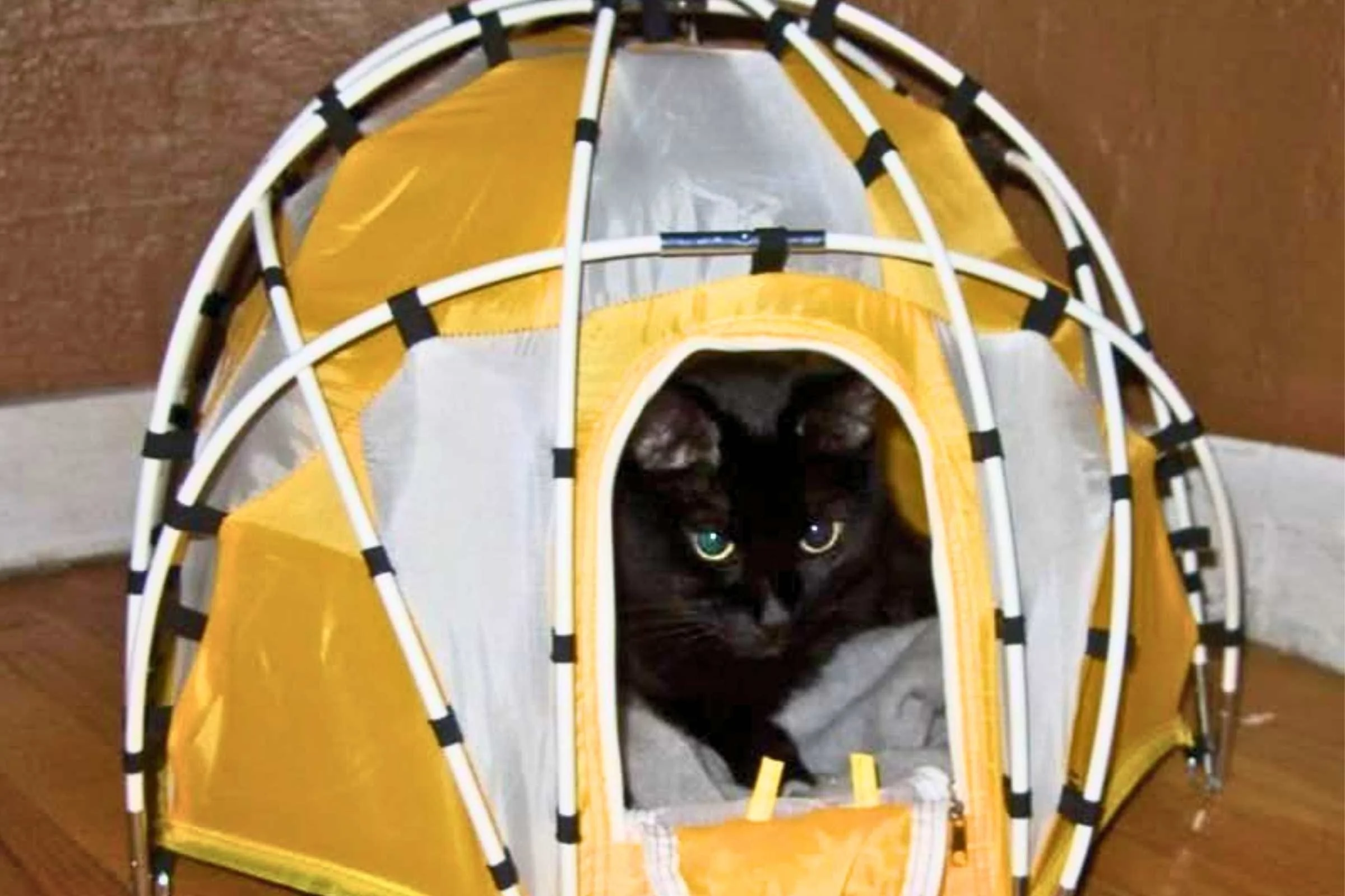 Tiny Tents Pet Basecamp Dome Tent