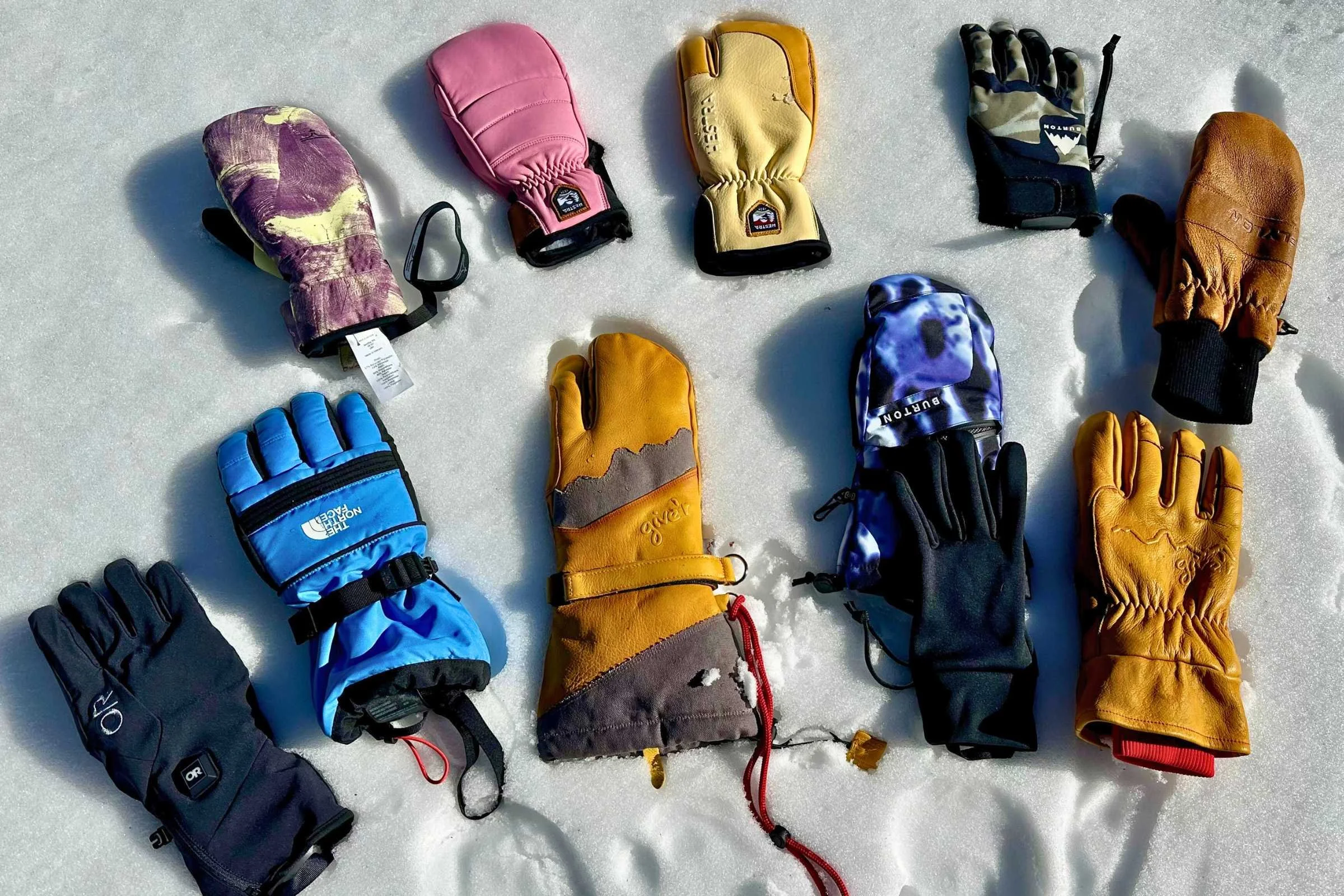 Many of these were our winners in this story. Photo courtesy Sara Kruglinski.