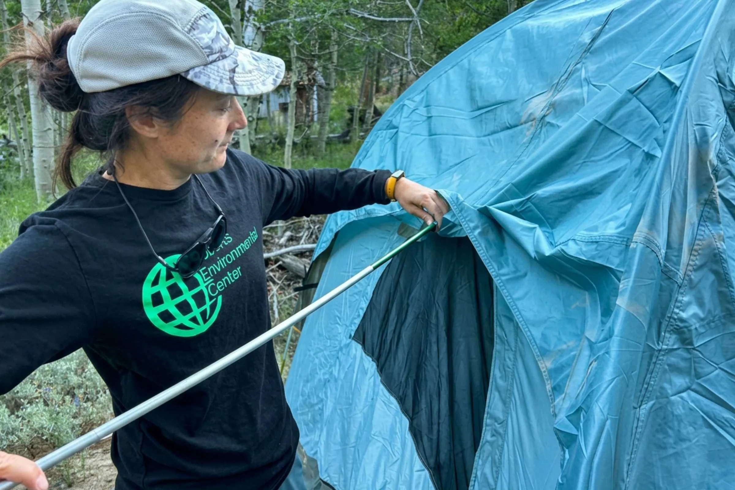 REI Co-op Westward 6 Tent pole setup