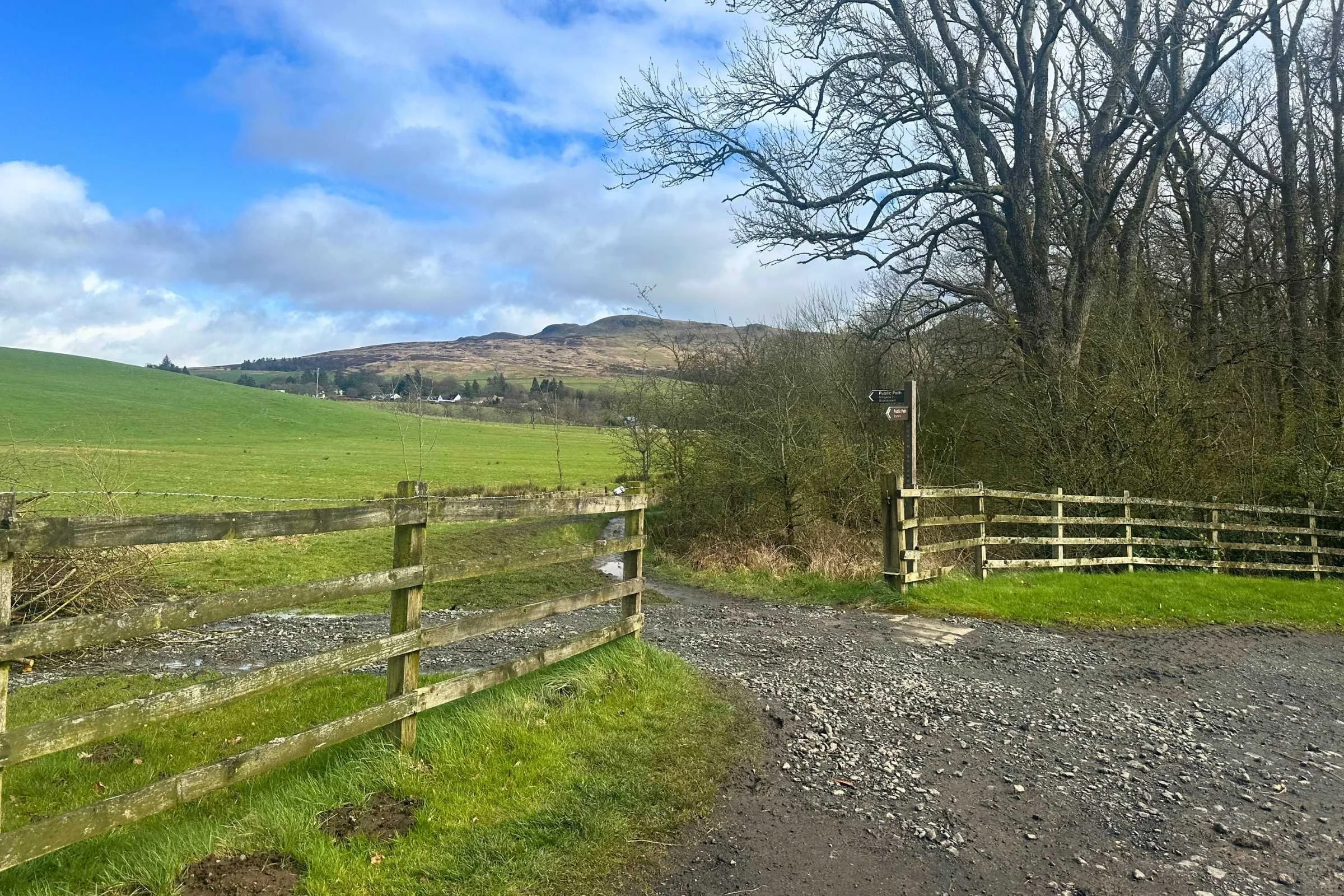 A gravel path into a field of sheep with a WHW trail junction sign.