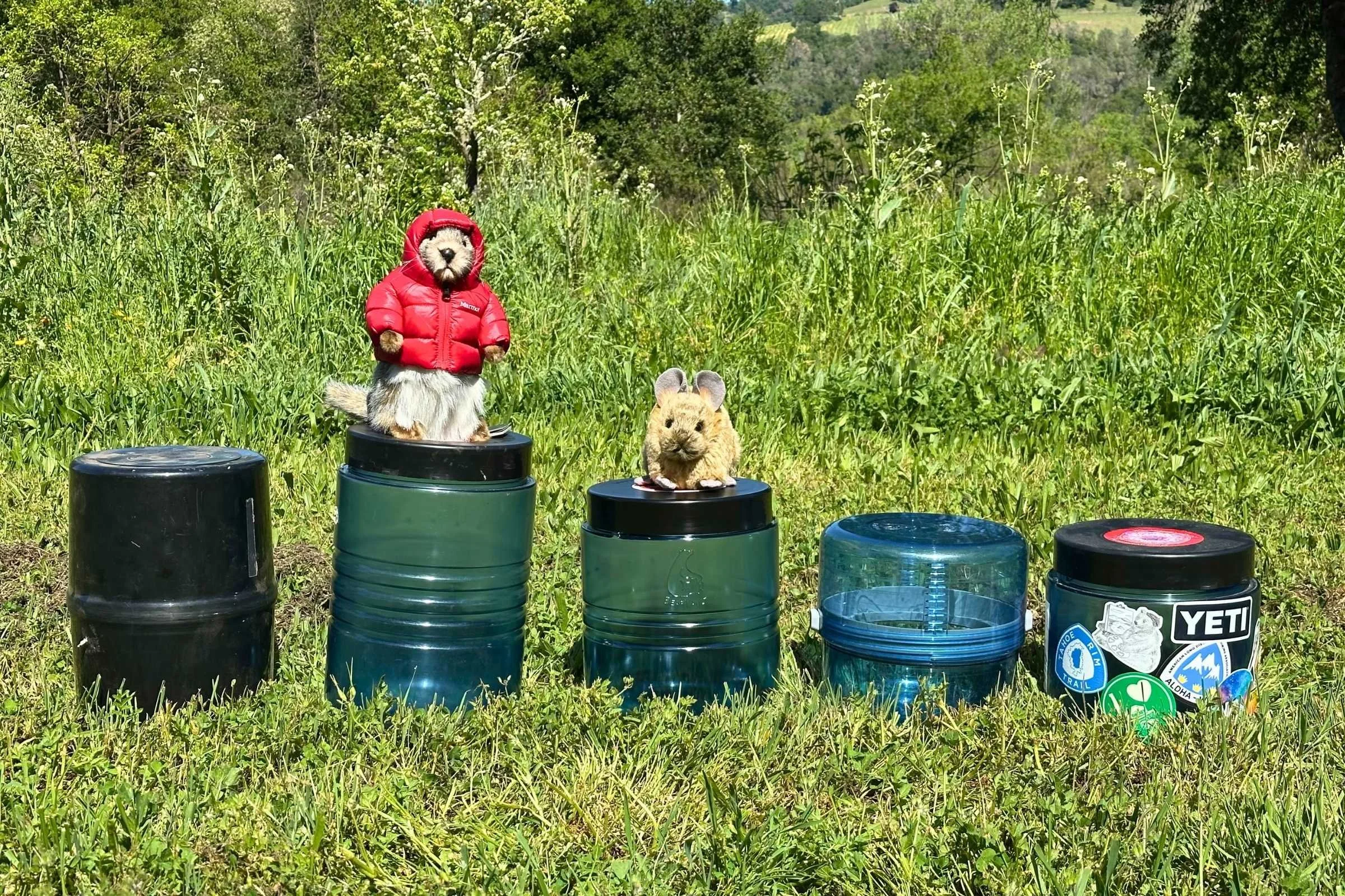 Bear canisters also protect from mini bears. We have the Garcia, BV500, BV475, BV ONE, and BV450 here with a pika and marmot who won’t be able to steal our snacks.  Photo courtesy  Sara Kruglinski.