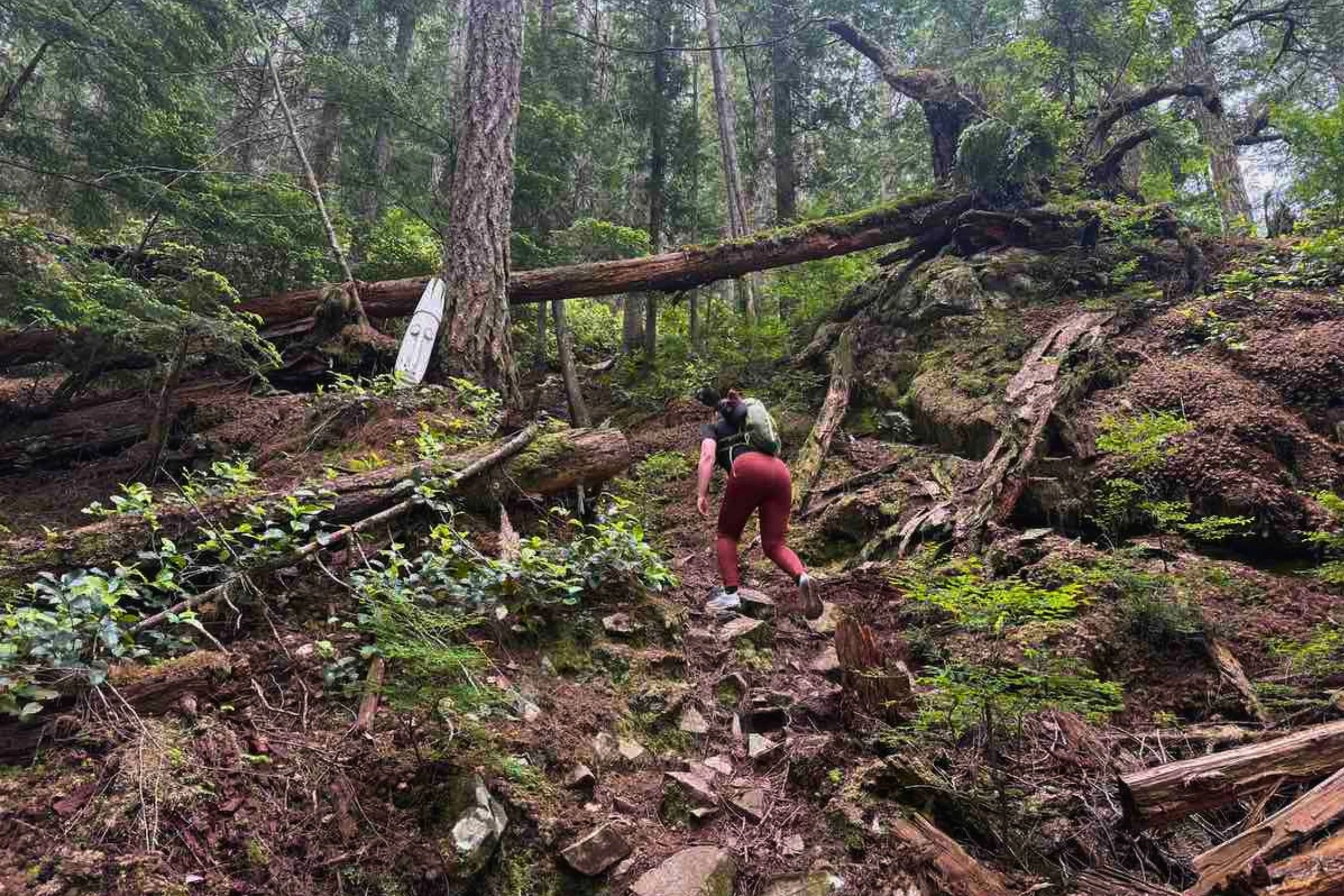 A woman wearing the On Cloudhorizon 2 hiking shoes on a forested trail with rocks and tree roots.