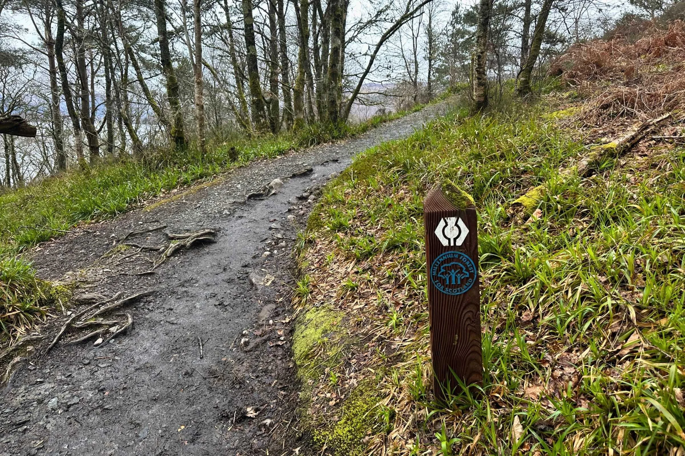 West Highland Way WTG Day 2 trail marker