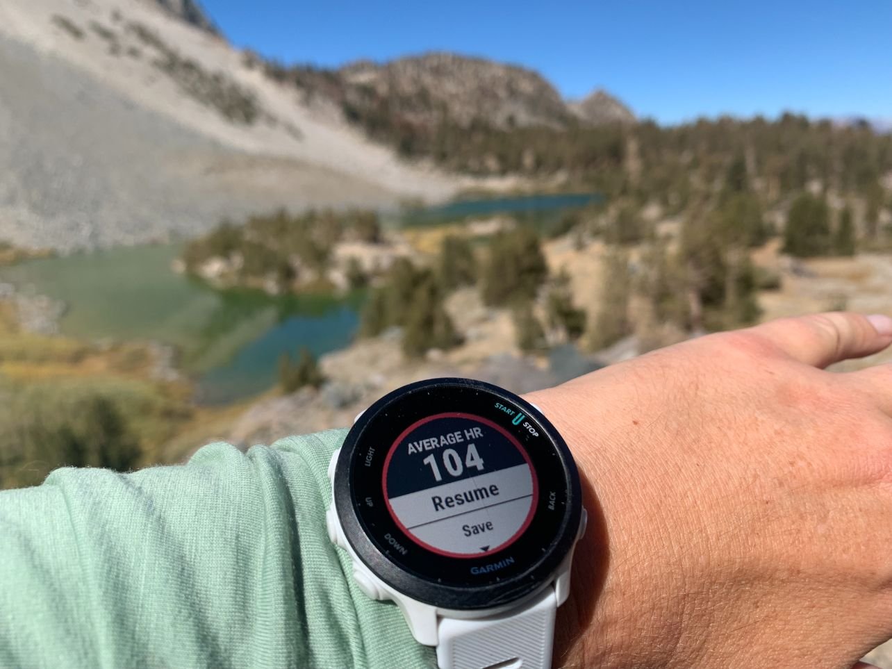 Garmin Forerunner 55 Treeline Review