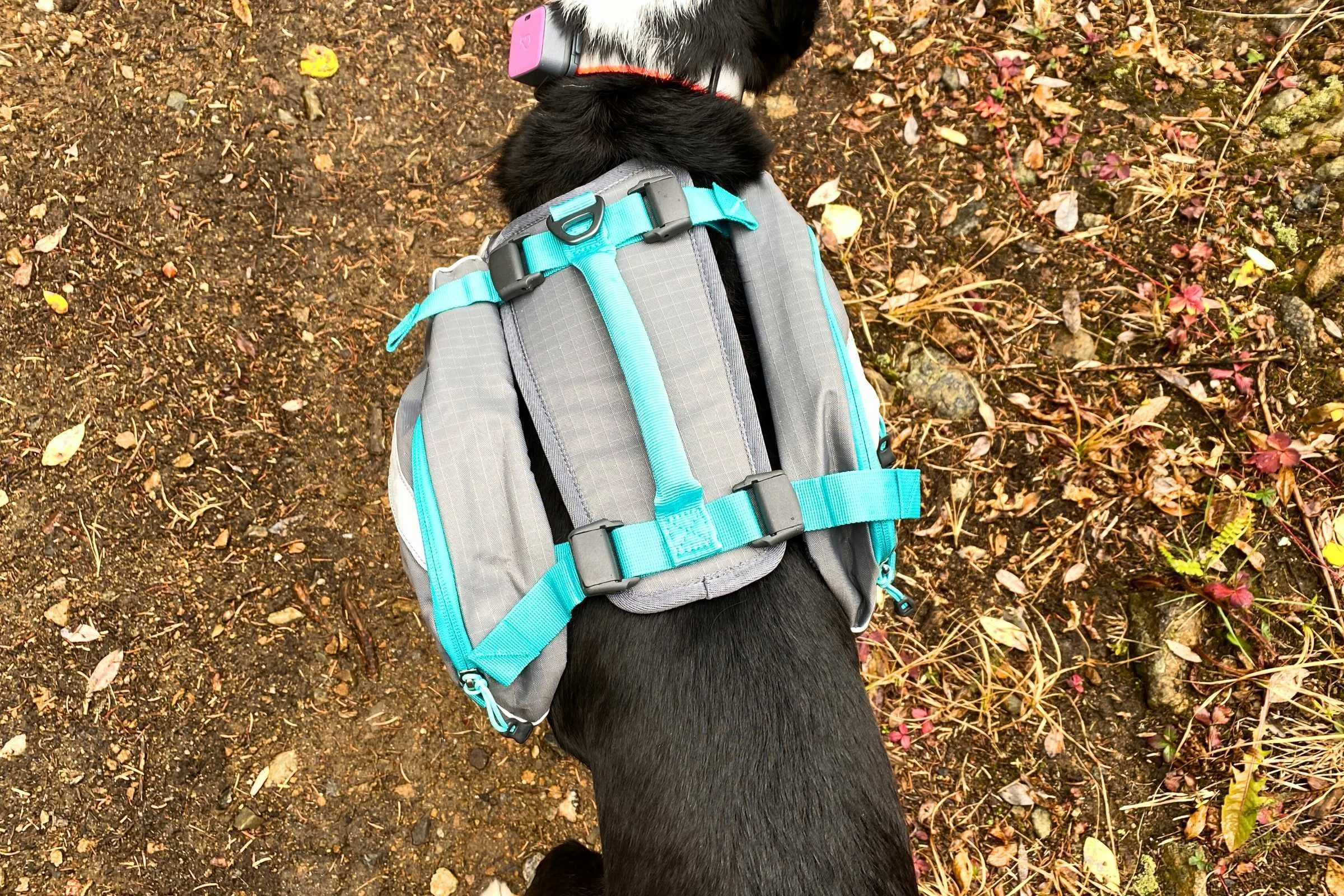 Top view of Mountainsmith K-9 Pack