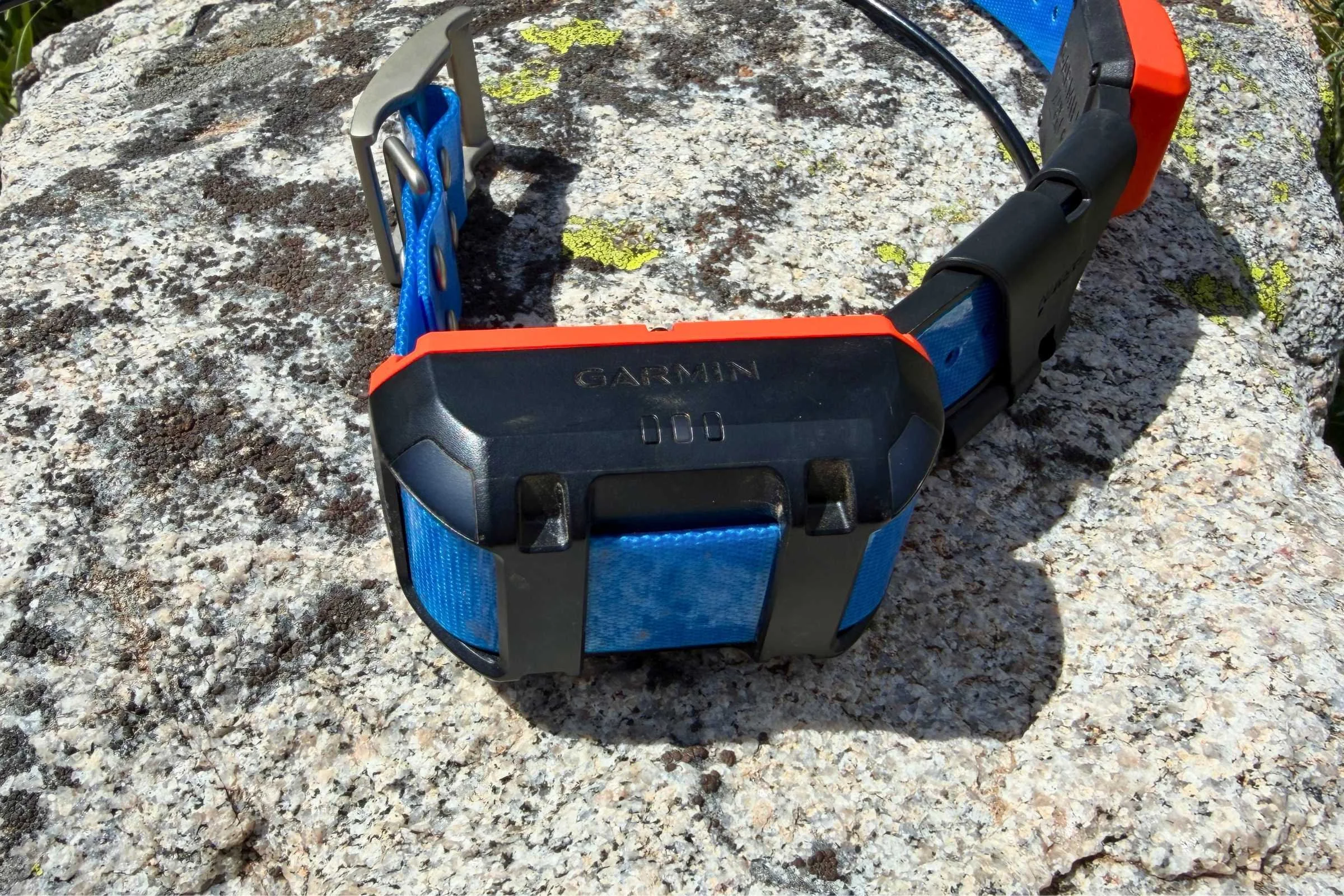 Close up of the Garmin Alpha T 20 GPS collar