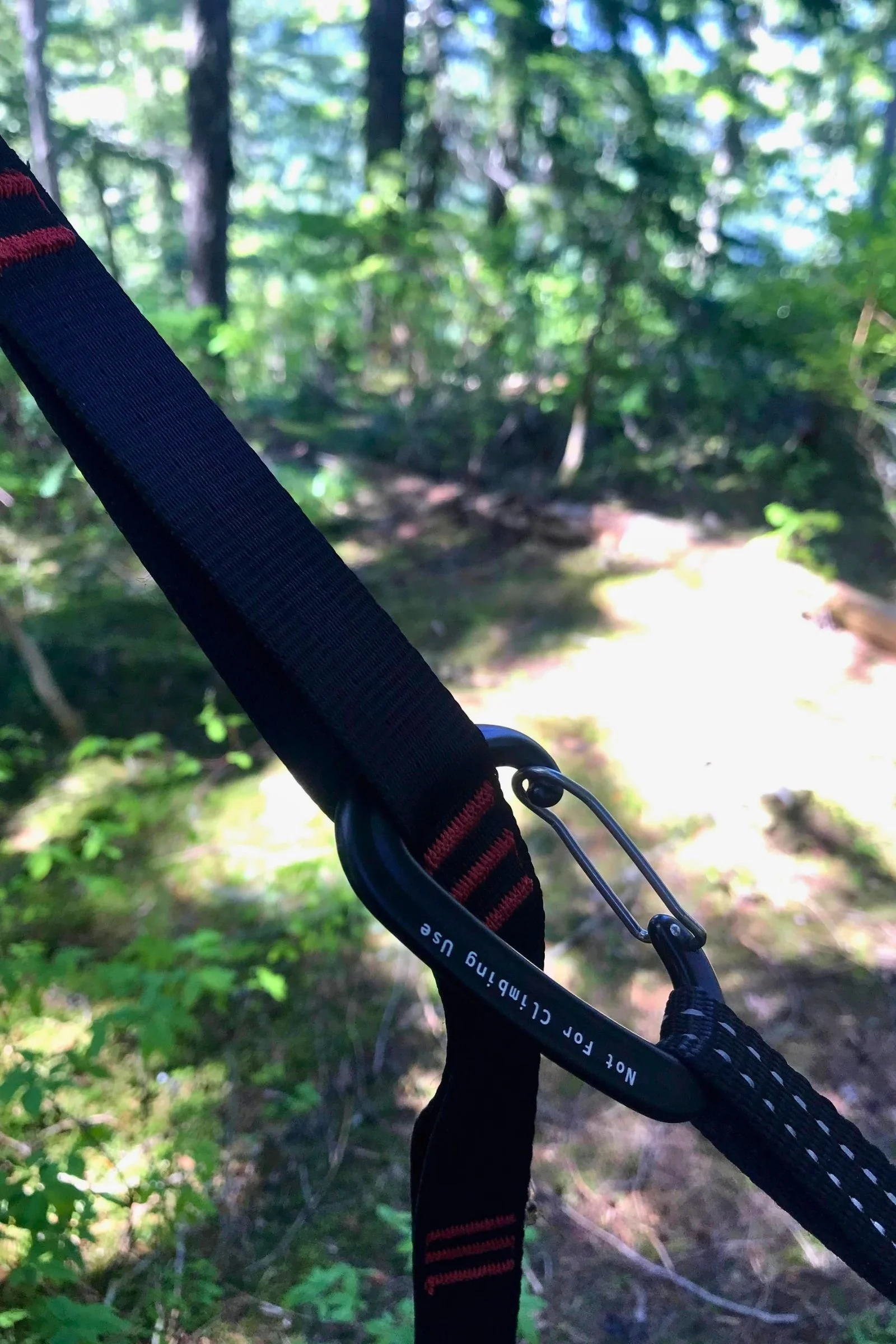Hammock straps are often sold separately so you can choose between standard, extra-long, or ultralight straps. The image shows a Grand Trunk Strap with carabiner attachment.