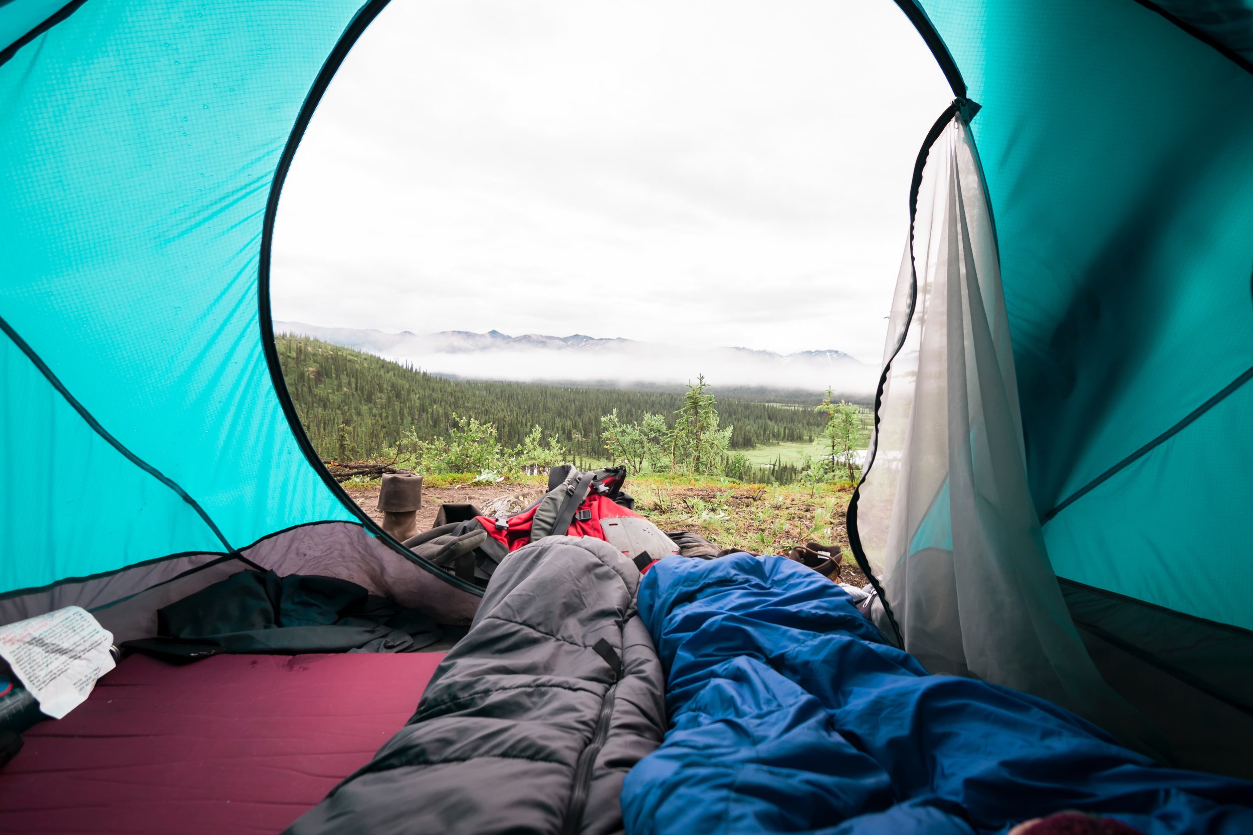 View from inside a tent with sleeping pads and sleeping bags. Photo by Steve Halama on Unsplash