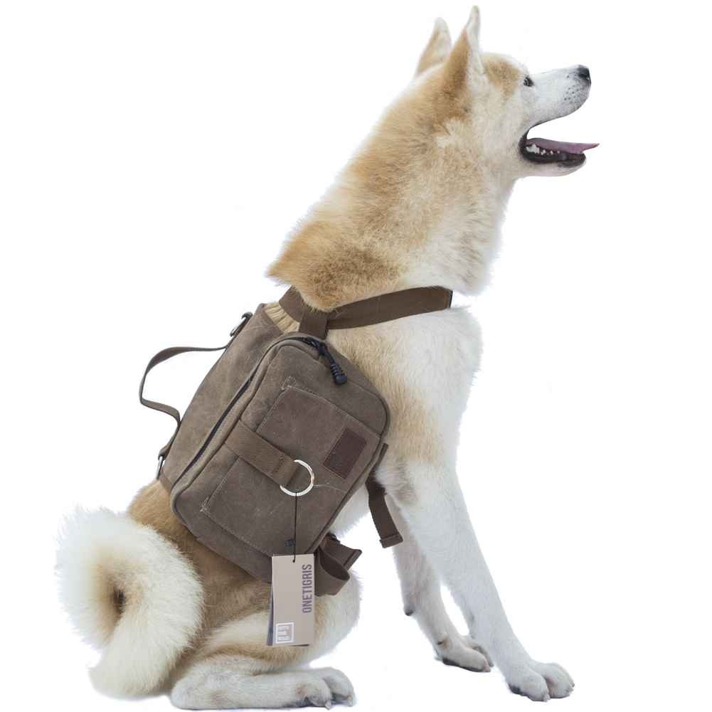 The OneTigris Hoppy Camper pack shown here on a sitting dog.