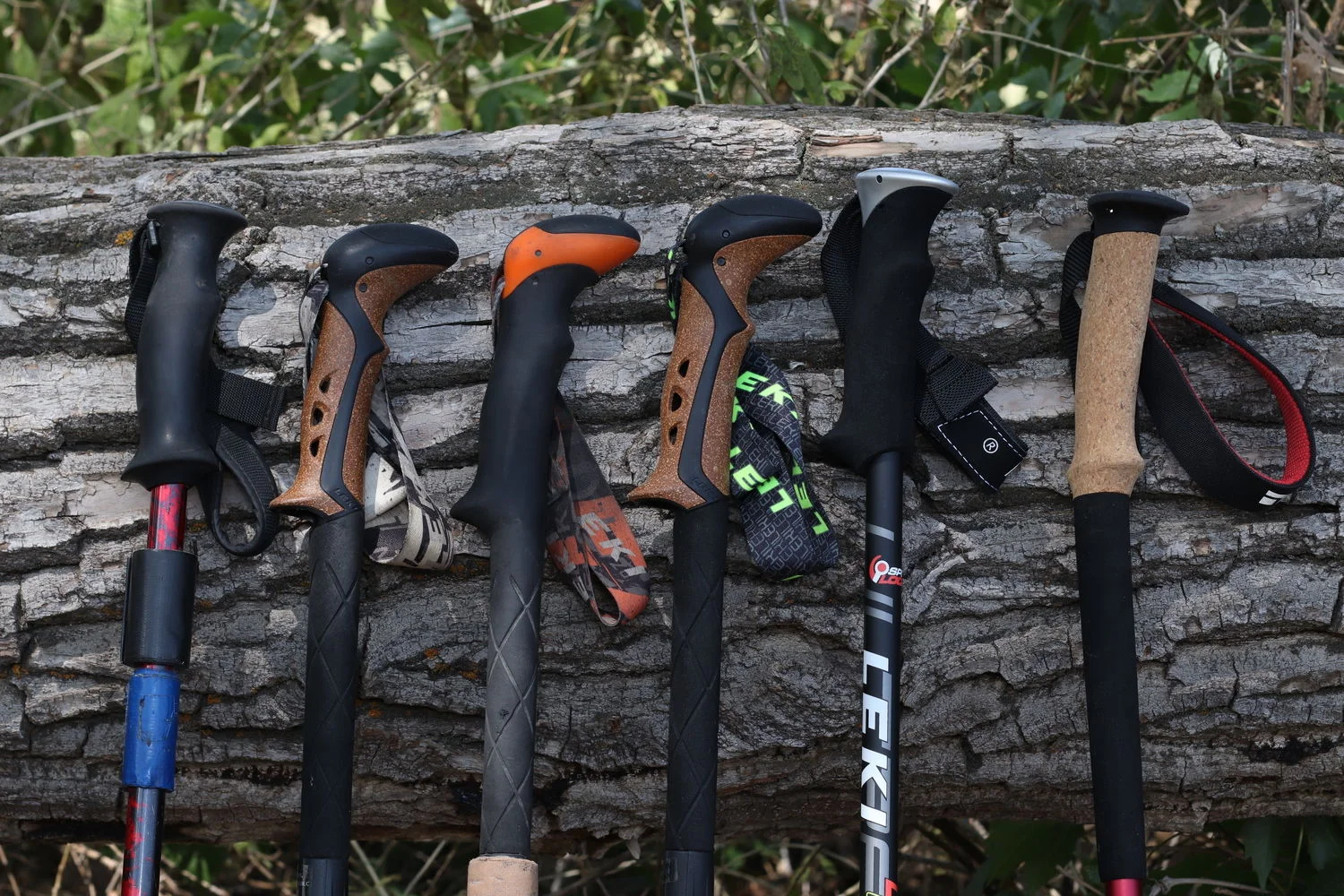 all_trekking_poles.jpg