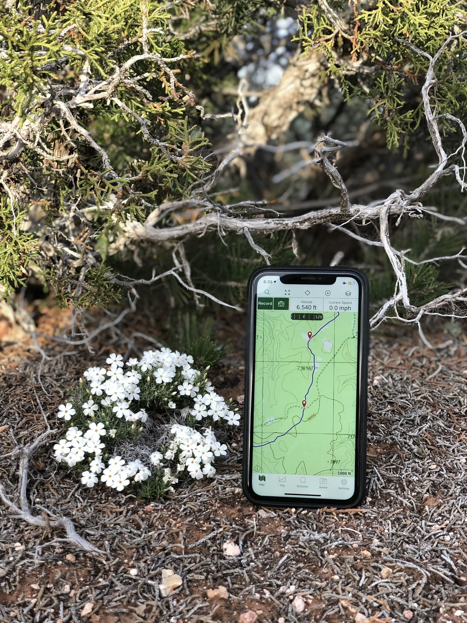 The iPhone has quickly become a useful gear item that most long distance hikers bring for taking photos, journaling, entertainment, and navigating on their adventures. Here it is shown with the Gaia GPS app. Photo courtesy Naomi Hudetz