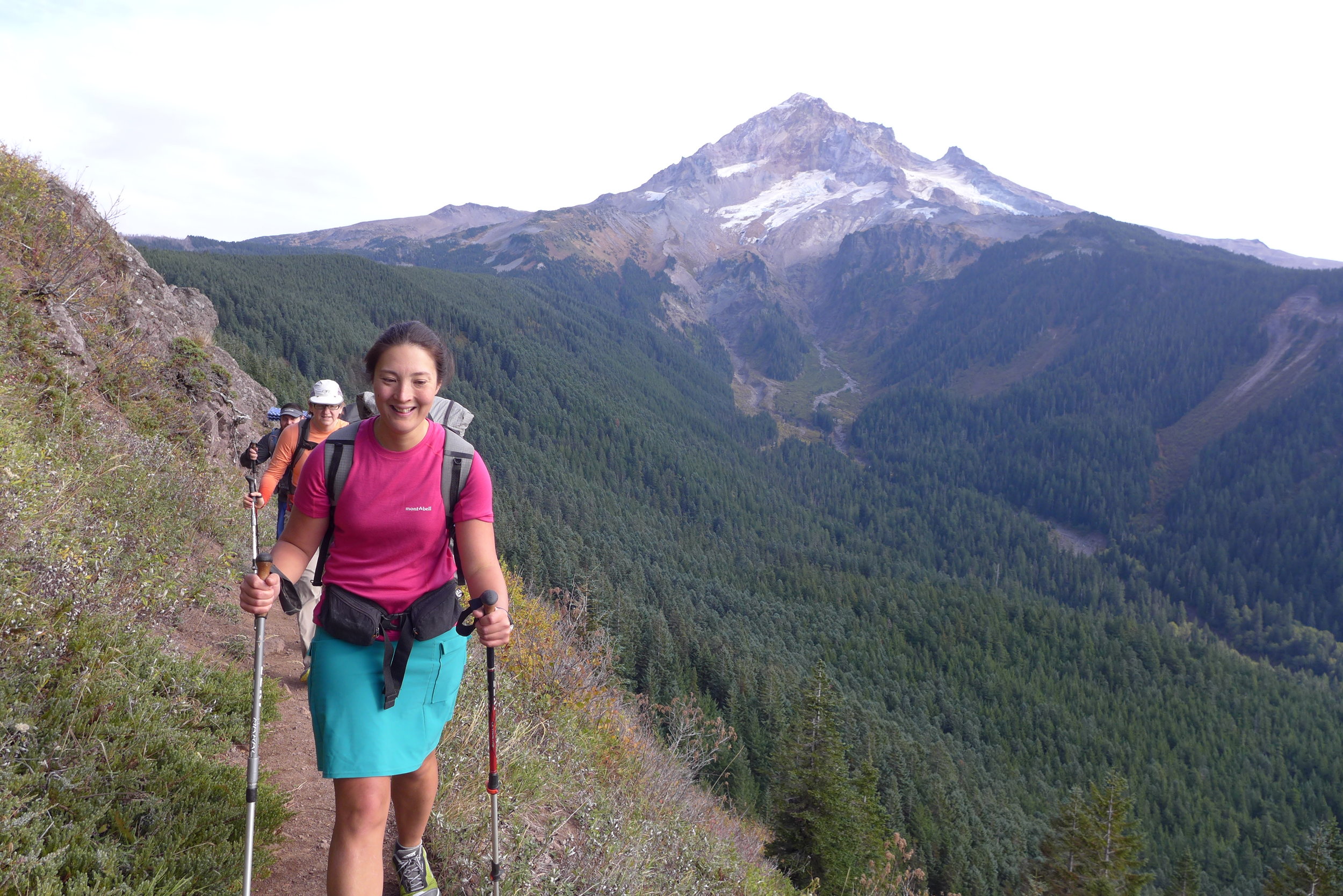 costco trekking pole