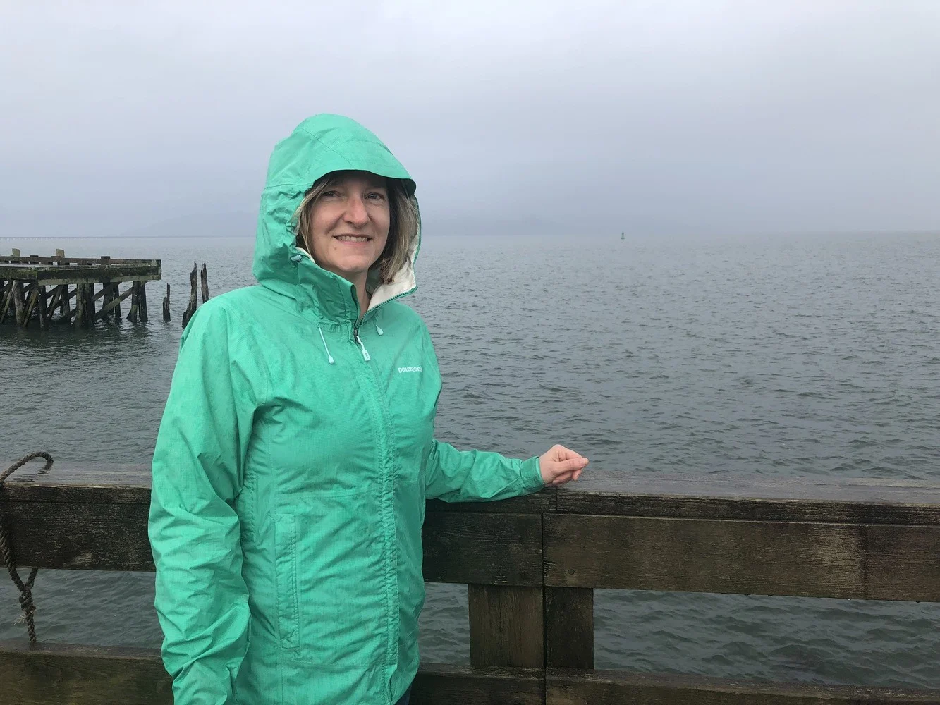 marmot minimalist jacket test