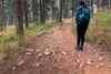 Hiking with Dogs: A Complete Guide to Safe and Fun Trail Adventures