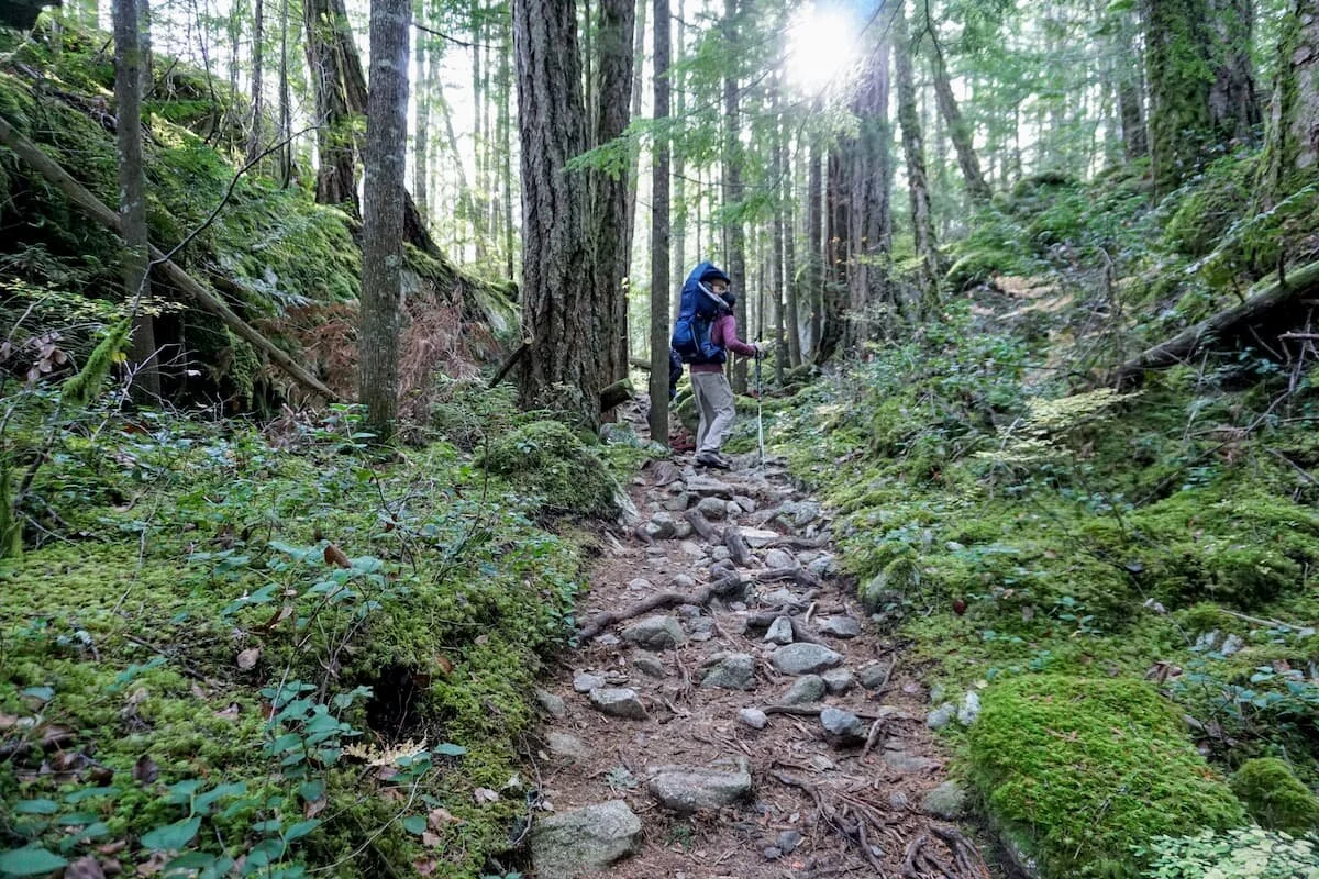 wirecutter hiking baby carrier
