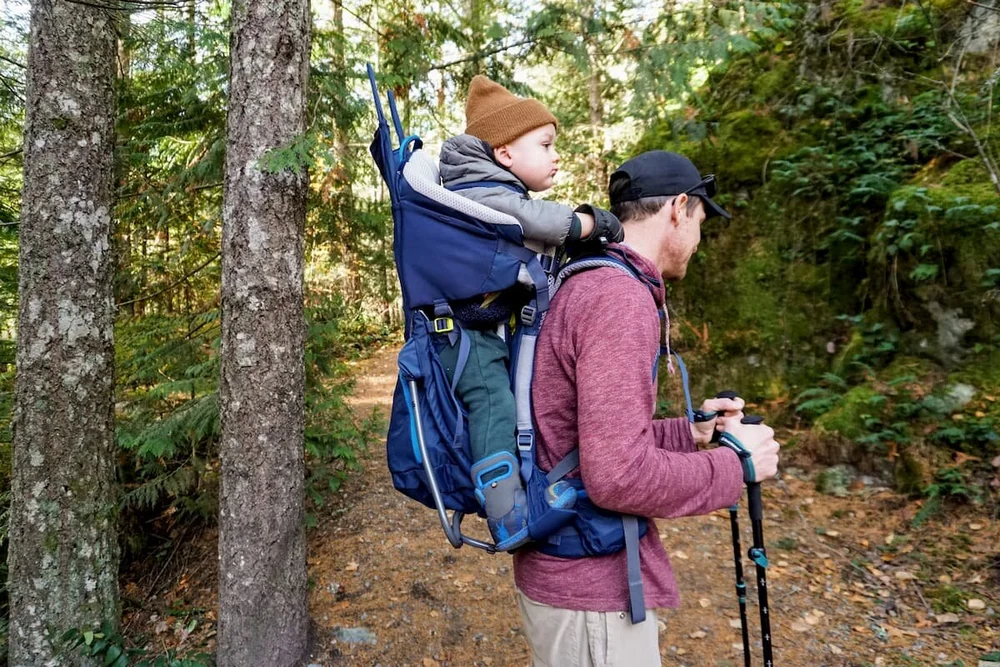The Best Baby And Toddler Carriers For Hiking Of 22 Treeline Review