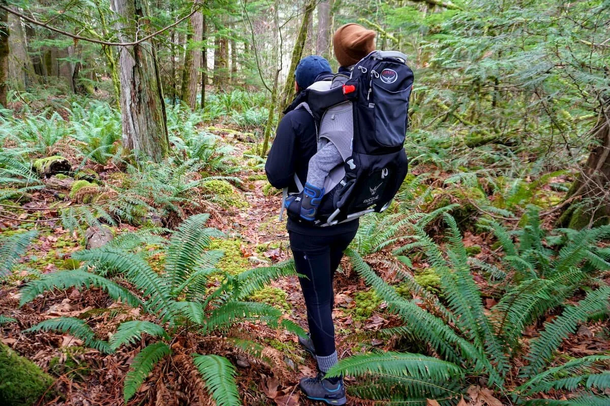 wirecutter hiking baby carrier