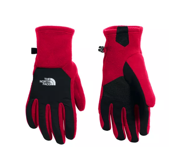 heated gloves north face