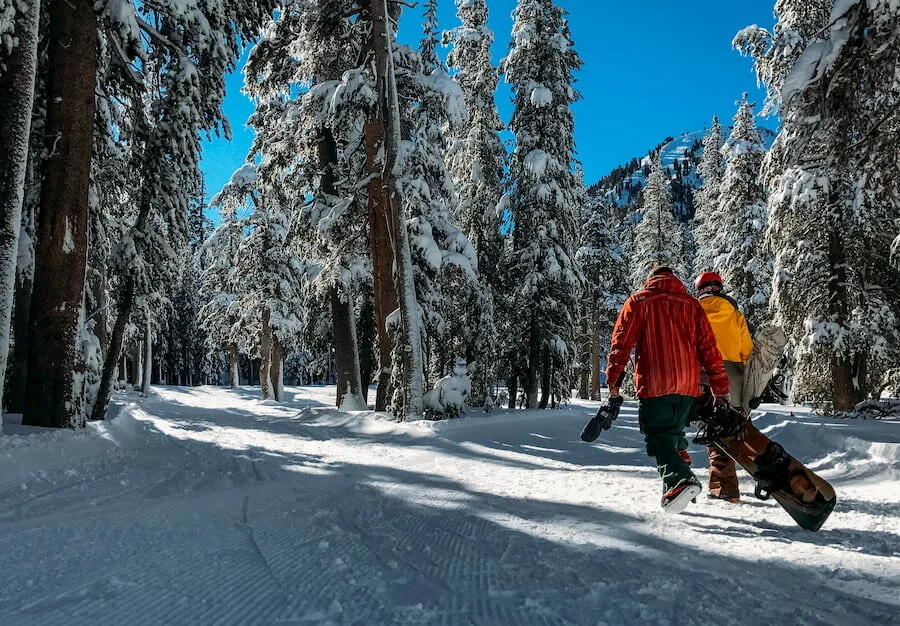 Two snowboarders carrying their snowboards walking on snow in trees. Photo by Robson Hatsukami Morgan on Unsplash.
