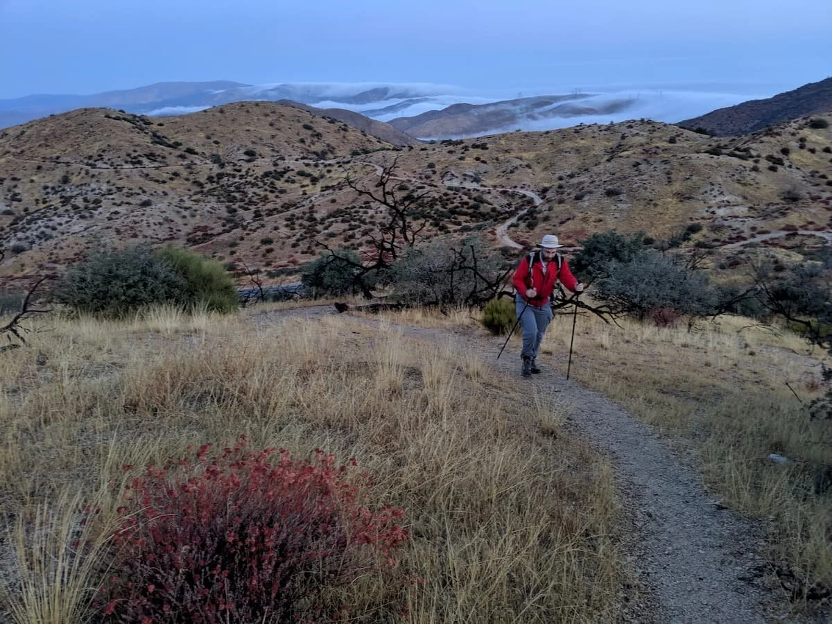 rei flash carbon trekking pole