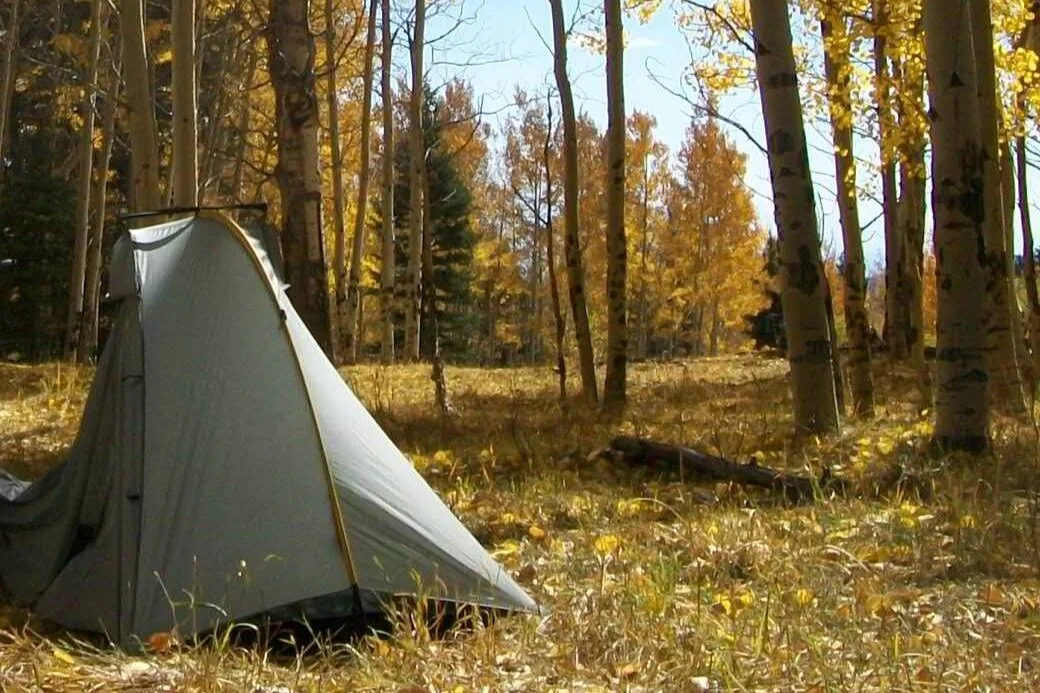The Best Backpacking Tents — Treeline Review