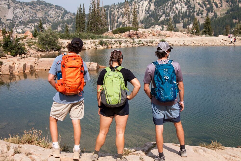 Hiking Backpacks The Best Day Packs for Hiking 2021 — Treeline Review