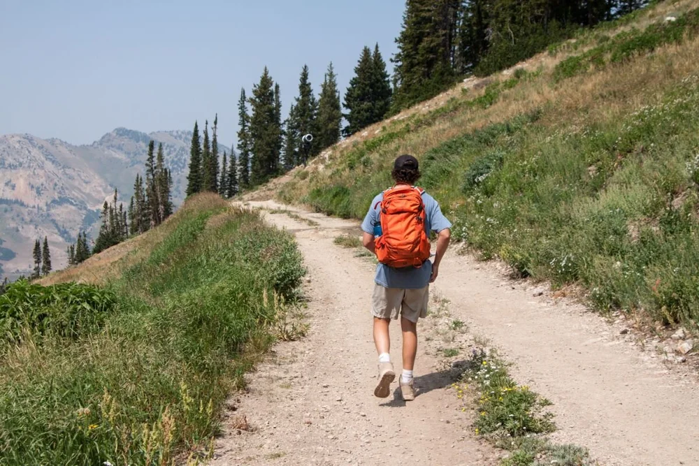 Best Day Packs For Hiking Treeline Review