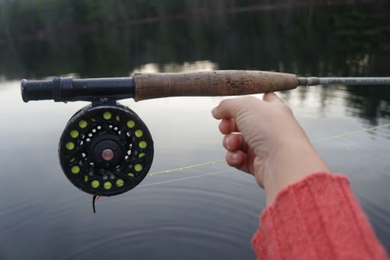 Fishing for Beginners: How to Choose the Right Fly Rod