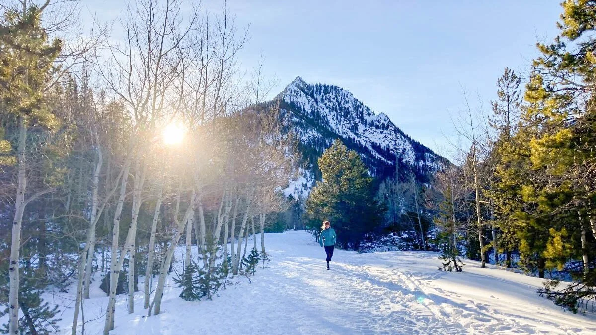 winter solstice reflective running jacket