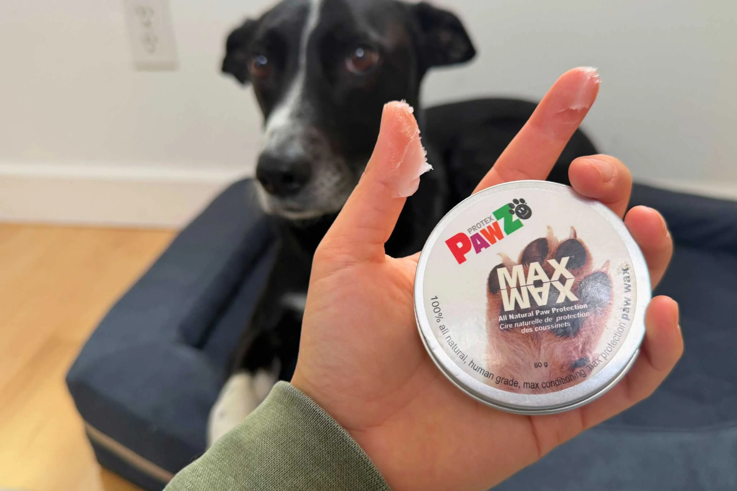 Waxy paw balm consistency showing application