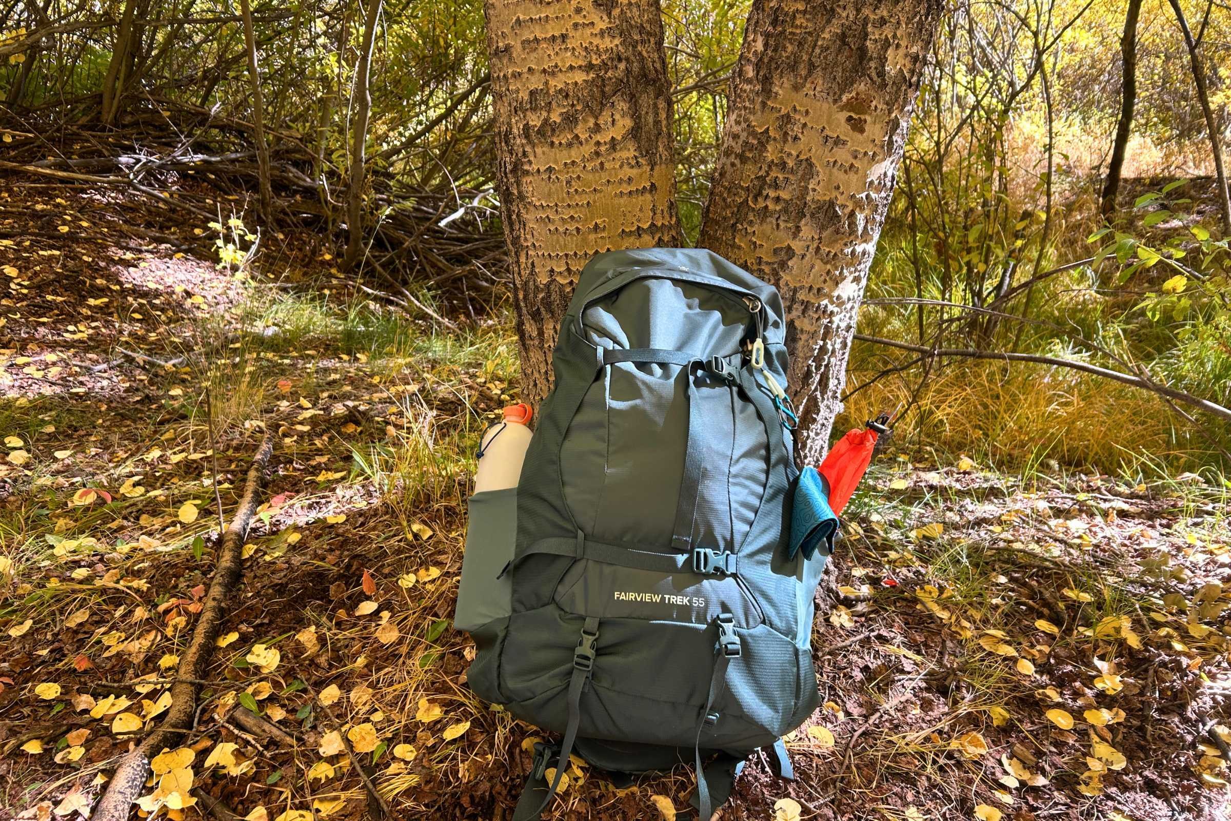 The Osprey Fairview Trek 55 Travel Pack sitting on the ground next to a tree.