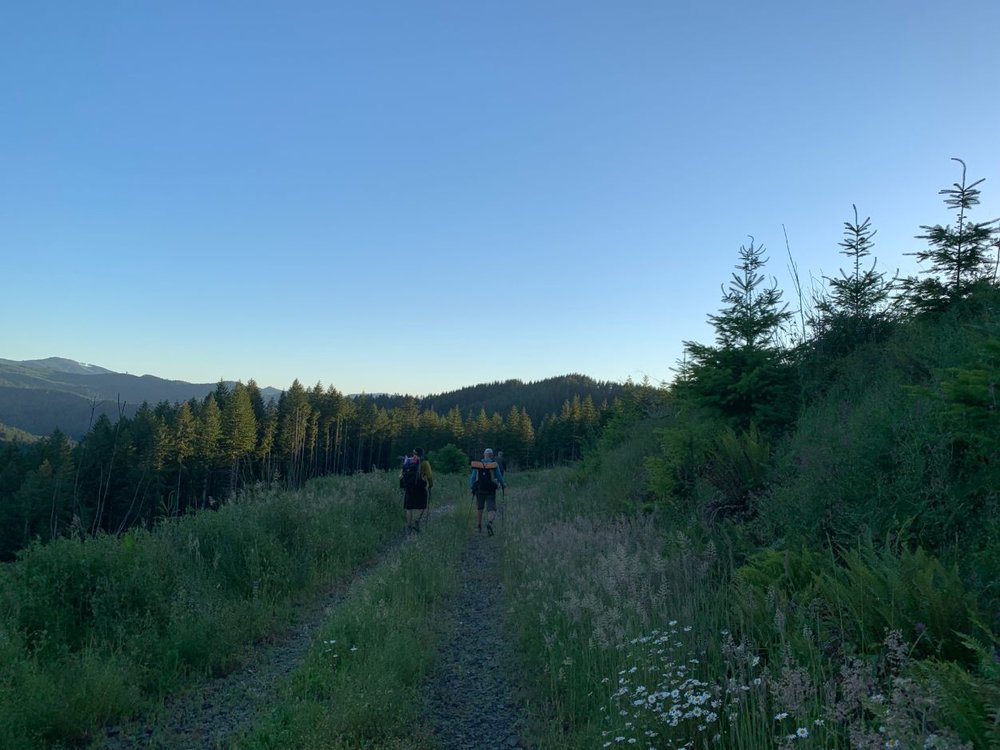 Corvallis-to-Sea-Trail-hiking-late-to-find-legal-place-to-camp.jpg