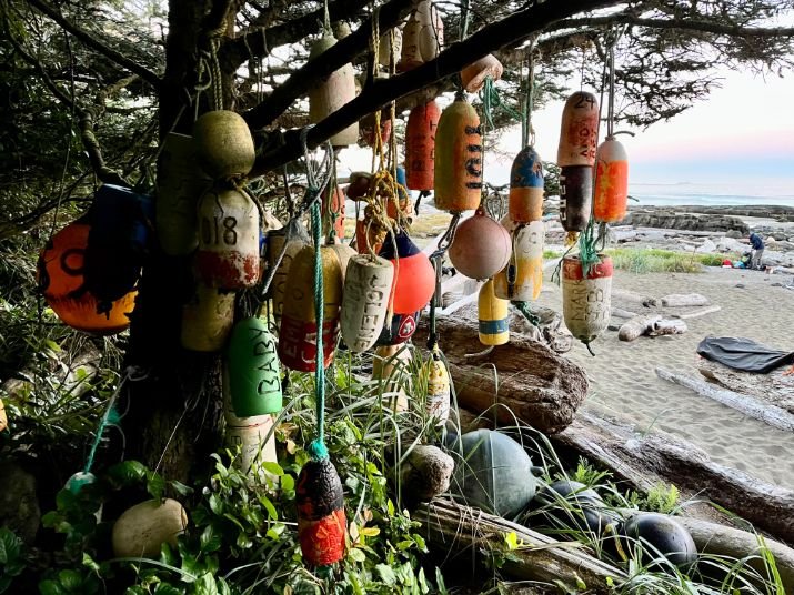 Day-5.1-WCT-common-buoys-at-campground-(Cribs-Creek).jpg