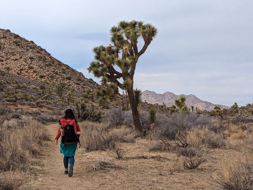 joshua-tree-california-riding-hiking-trail-backpacking.jpg
