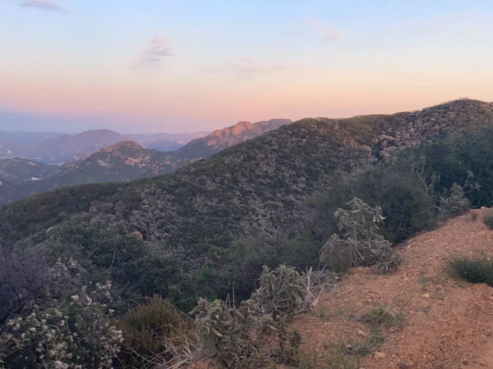 Backpacking the Santa Monica Mountains’ Backbone Trail — Treeline Review
